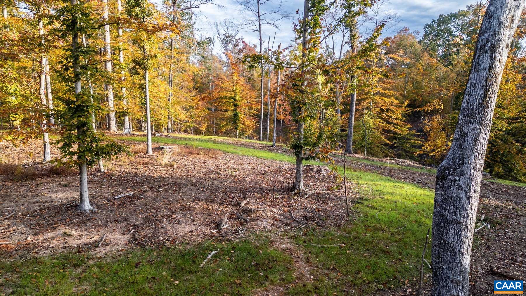42 SHADWELL RD, KESWICK, Virginia 22947, ,Land,14,42 SHADWELL RD,682393 MLS # 682393