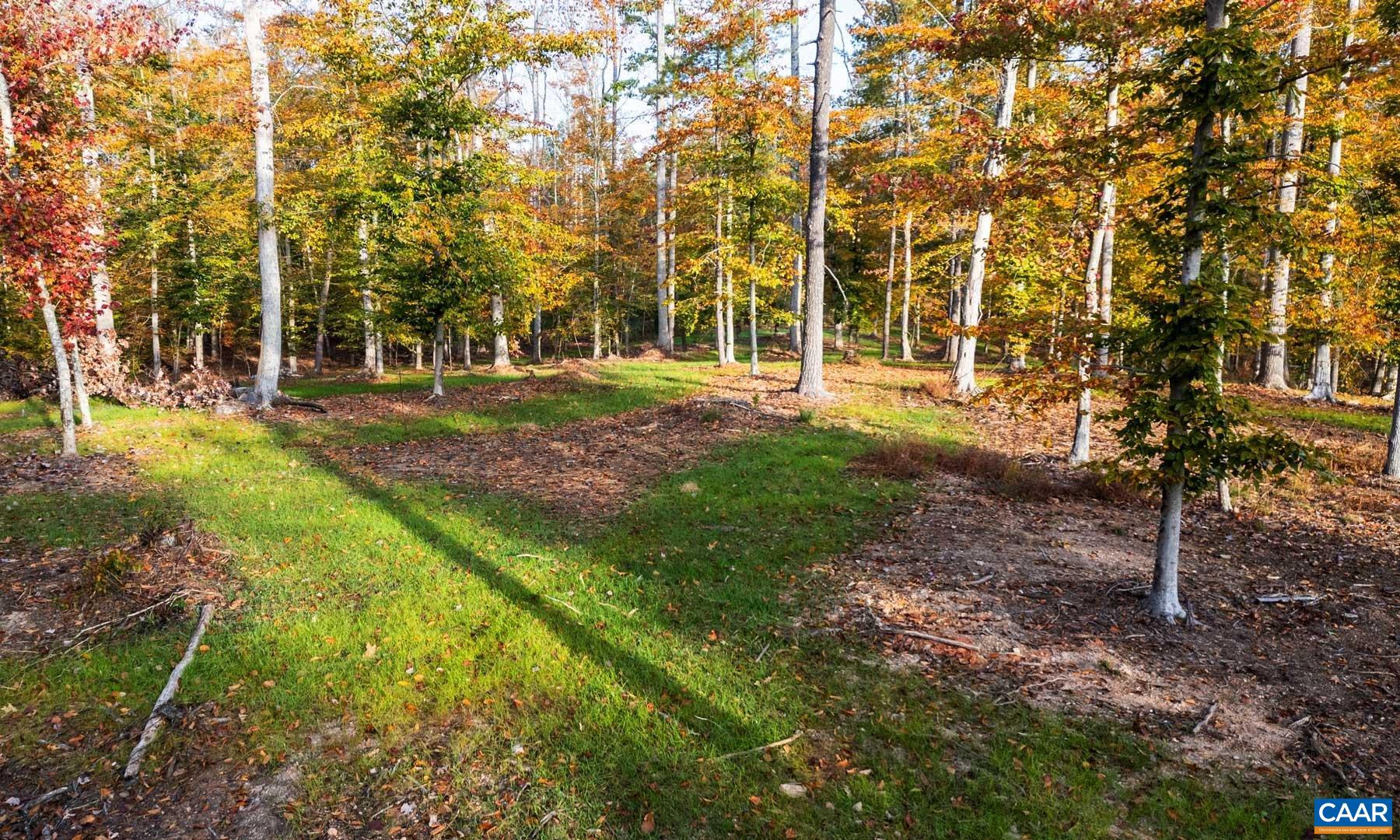 42 SHADWELL RD, KESWICK, Virginia 22947, ,Land,14,42 SHADWELL RD,682393 MLS # 682393