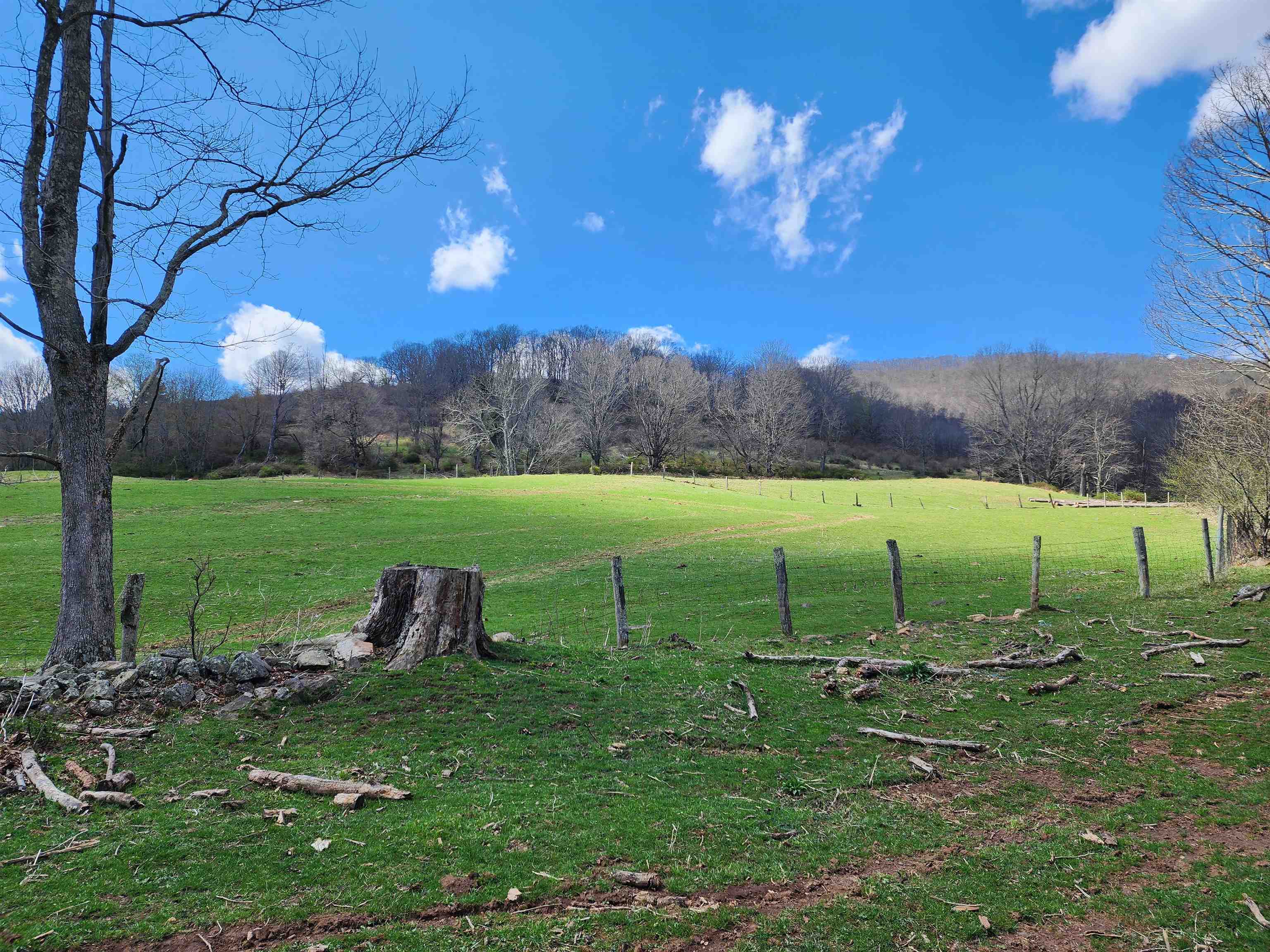 3356 JACKSON RIVER RD, MONTEREY, Virginia 24465, 3 Bedrooms Bedrooms, ,3 BathroomsBathrooms,Residential,14,3356 JACKSON RIVER RD,675365 MLS # 675365