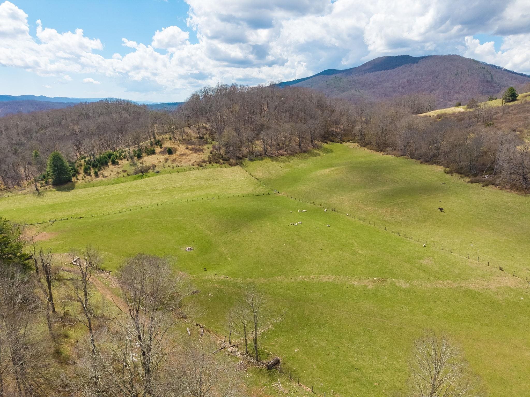 3356 JACKSON RIVER RD, MONTEREY, Virginia 24465, 3 Bedrooms Bedrooms, ,3 BathroomsBathrooms,Residential,14,3356 JACKSON RIVER RD,675365 MLS # 675365