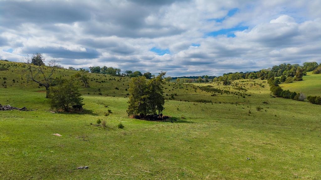 3346 SPRING HILL RD, STAUNTON, Virginia 24401, ,Farm,14,3346 SPRING HILL RD,682456 MLS # 682456 3346 SPRING HILL RD, STAUNTON, Virginia 24401, ,Farm,14,3346 SPRING HILL RD,682456 MLS # 682456