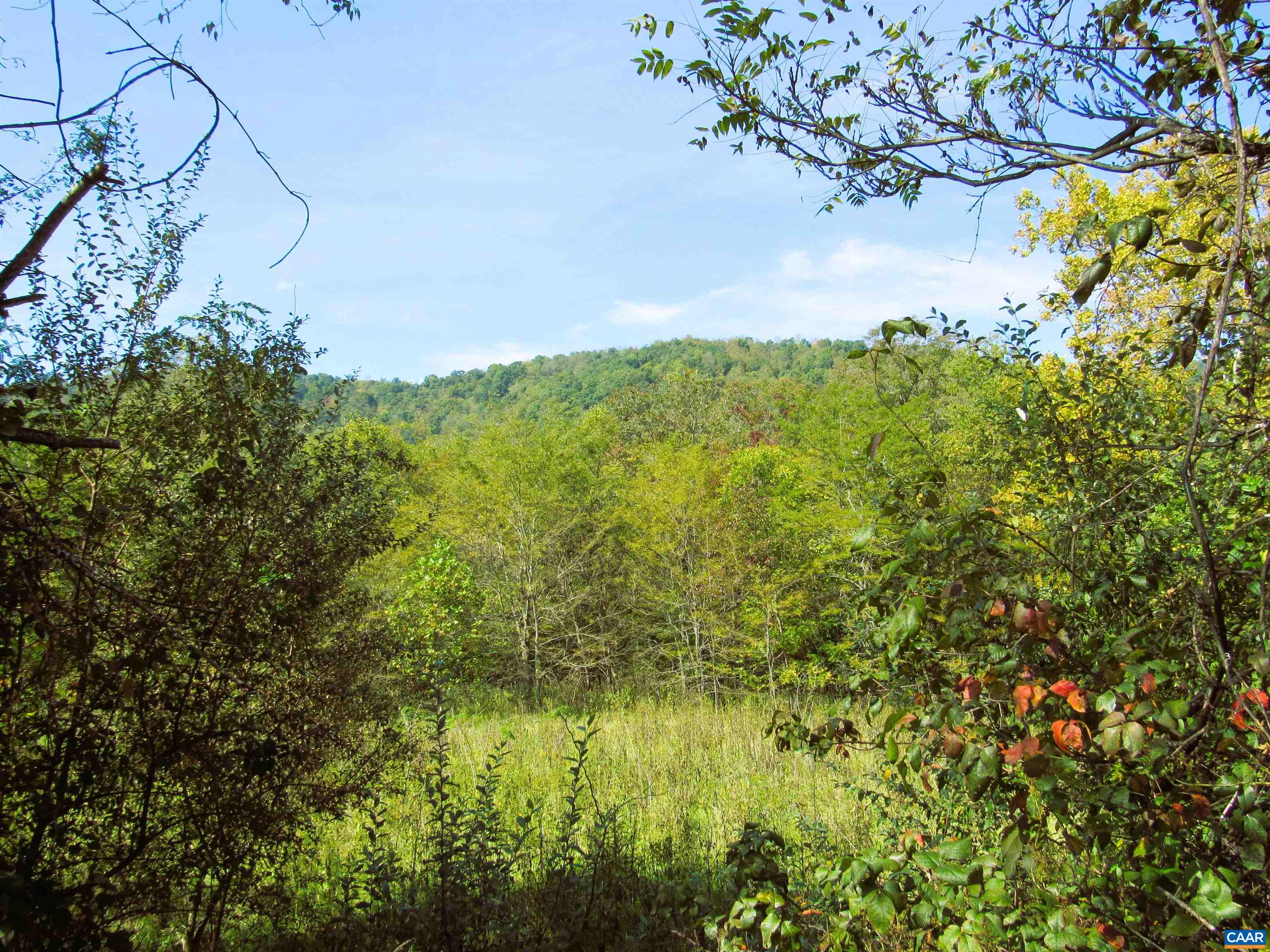 FORTUNES COVE LN, LOVINGSTON, Virginia 22949, ,Farm,14,FORTUNES COVE LN,682654 MLS # 682654 FORTUNES COVE LN, LOVINGSTON, Virginia 22949, ,Farm,14,FORTUNES COVE LN,682654 MLS # 682654