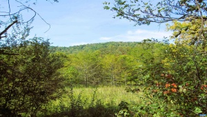 FORTUNES COVE LN, LOVINGSTON, Virginia 22949, ,Farm,14,FORTUNES COVE LN,682654 MLS # 682654