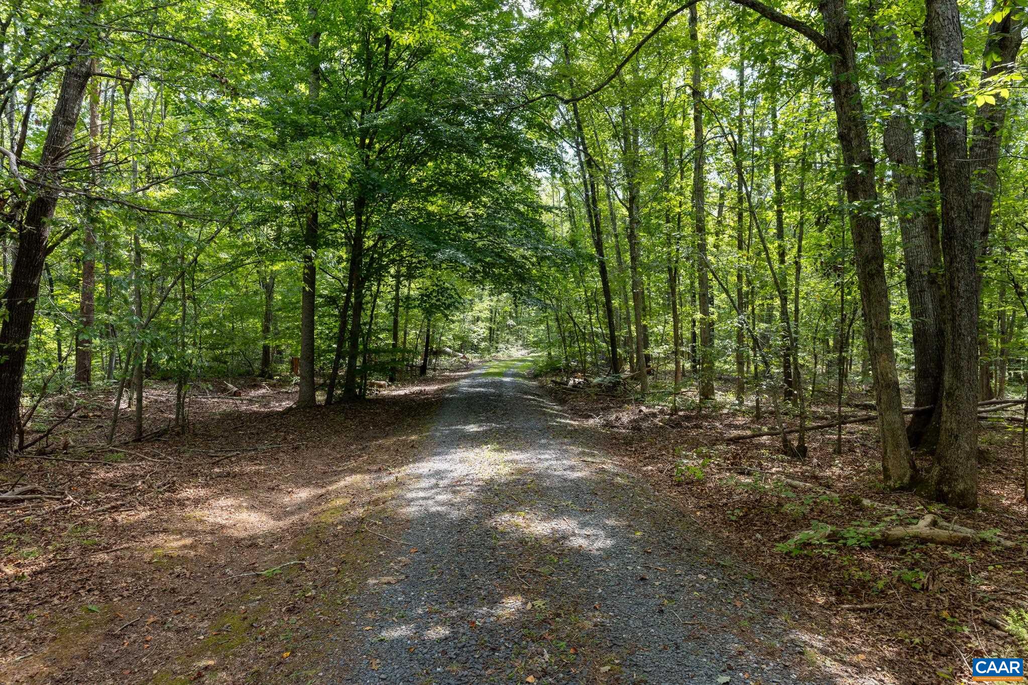 323 PEACEFUL LN, PALMYRA, Virginia 22963, 3 Bedrooms Bedrooms, ,2 BathroomsBathrooms,Residential,14,323 PEACEFUL LN,682659 MLS # 682659 323 PEACEFUL LN, PALMYRA, Virginia 22963, 3 Bedrooms Bedrooms, ,2 BathroomsBathrooms,Residential,14,323 PEACEFUL LN,682659 MLS # 682659