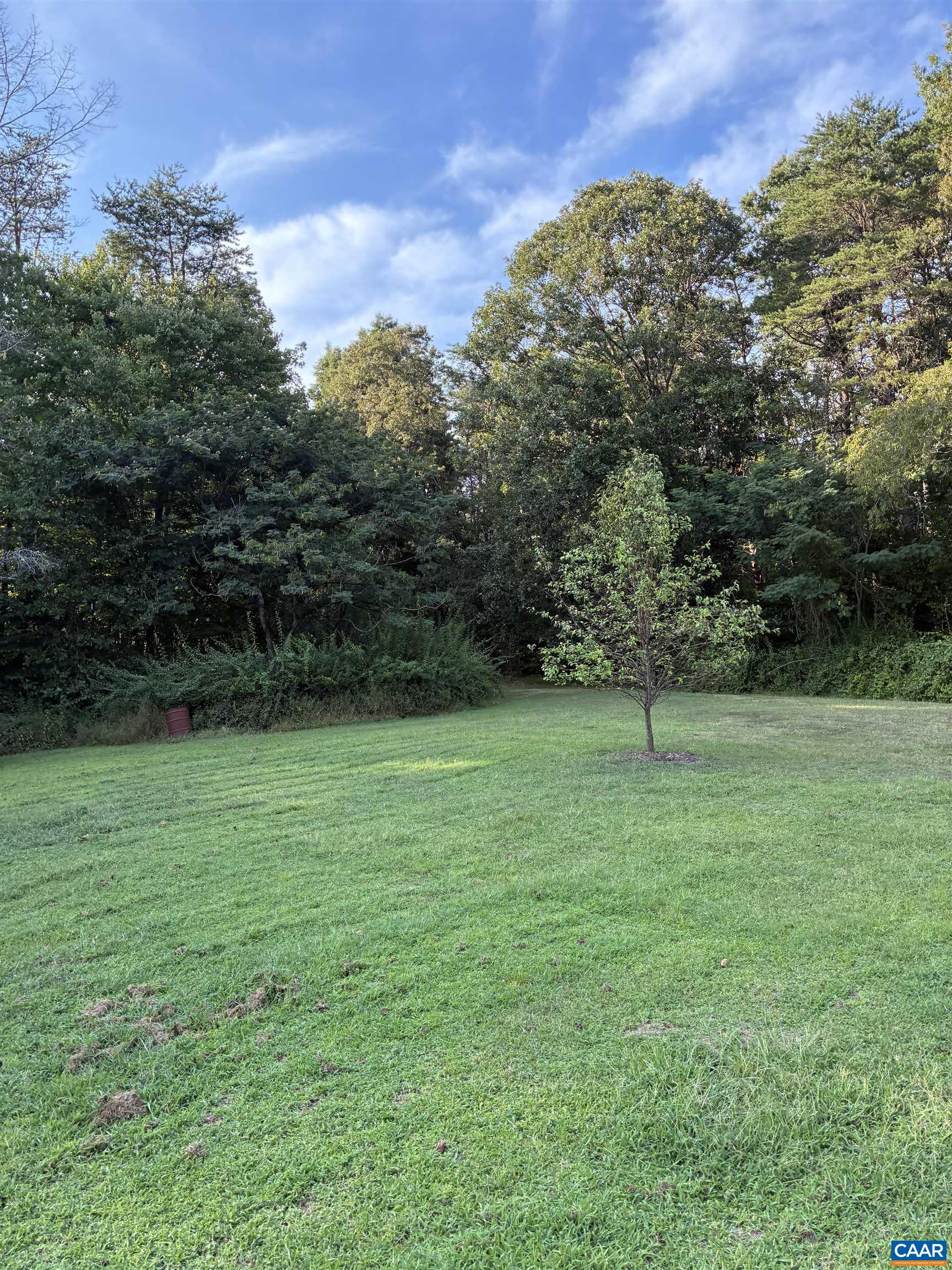 323 PEACEFUL LN, PALMYRA, Virginia 22963, 3 Bedrooms Bedrooms, ,2 BathroomsBathrooms,Residential,14,323 PEACEFUL LN,682659 MLS # 682659 323 PEACEFUL LN, PALMYRA, Virginia 22963, 3 Bedrooms Bedrooms, ,2 BathroomsBathrooms,Residential,14,323 PEACEFUL LN,682659 MLS # 682659
