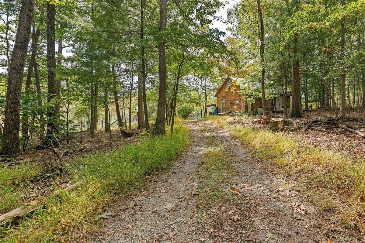 10375 GENOA RD, FULKS RUN, Virginia 22830, 1 Bedroom Bedrooms, ,2 BathroomsBathrooms,Residential,14,10375 GENOA RD,682680 MLS # 682680 10375 GENOA RD, FULKS RUN, Virginia 22830, 1 Bedroom Bedrooms, ,2 BathroomsBathrooms,Residential,14,10375 GENOA RD,682680 MLS # 682680