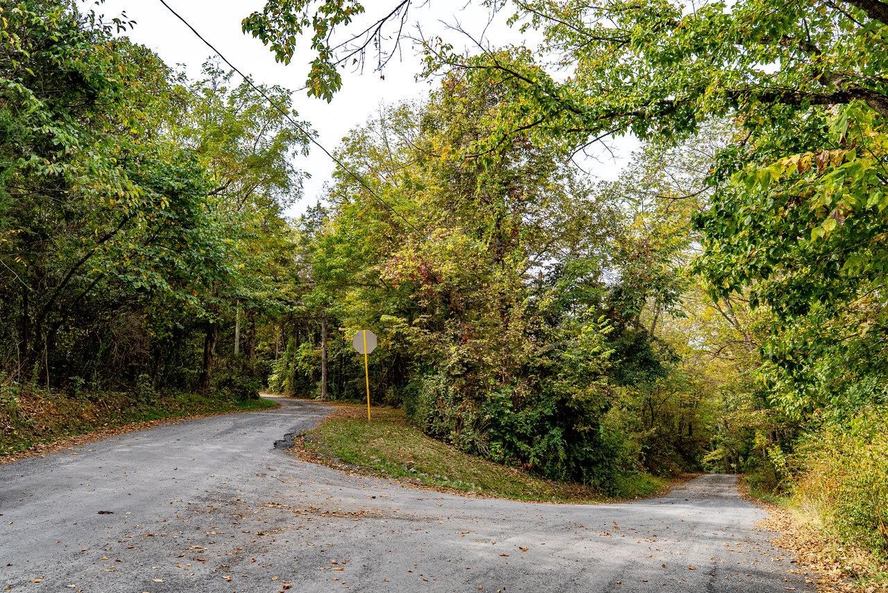 TBD BALD ROCK RD, VERONA, Virginia 24482, ,Farm,14,TBD BALD ROCK RD,669541 MLS # 669541 TBD BALD ROCK RD, VERONA, Virginia 24482, ,Farm,14,TBD BALD ROCK RD,669541 MLS # 669541