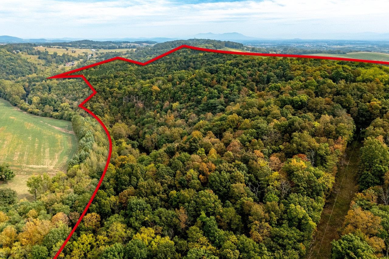 TBD BALD ROCK RD, VERONA, Virginia 24482, ,Farm,14,TBD BALD ROCK RD,669541 MLS # 669541 TBD BALD ROCK RD, VERONA, Virginia 24482, ,Farm,14,TBD BALD ROCK RD,669541 MLS # 669541