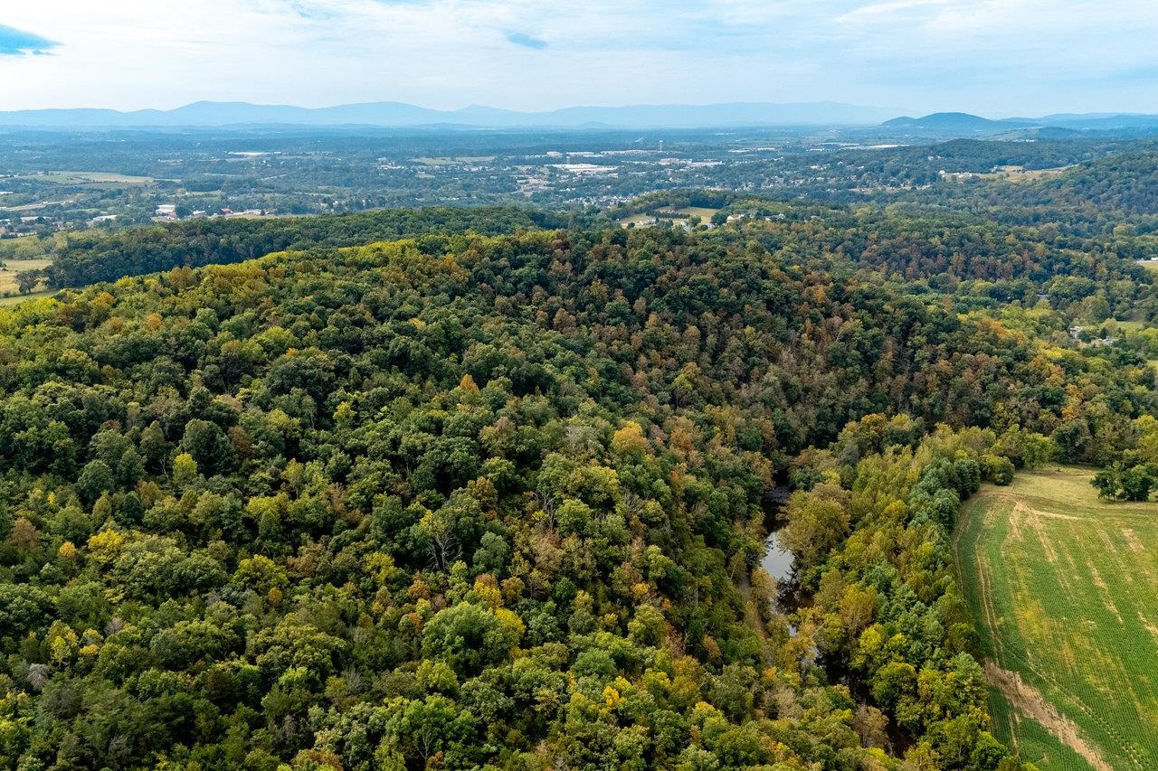 TBD BALD ROCK RD, VERONA, Virginia 24482, ,Farm,14,TBD BALD ROCK RD,669541 MLS # 669541 TBD BALD ROCK RD, VERONA, Virginia 24482, ,Farm,14,TBD BALD ROCK RD,669541 MLS # 669541