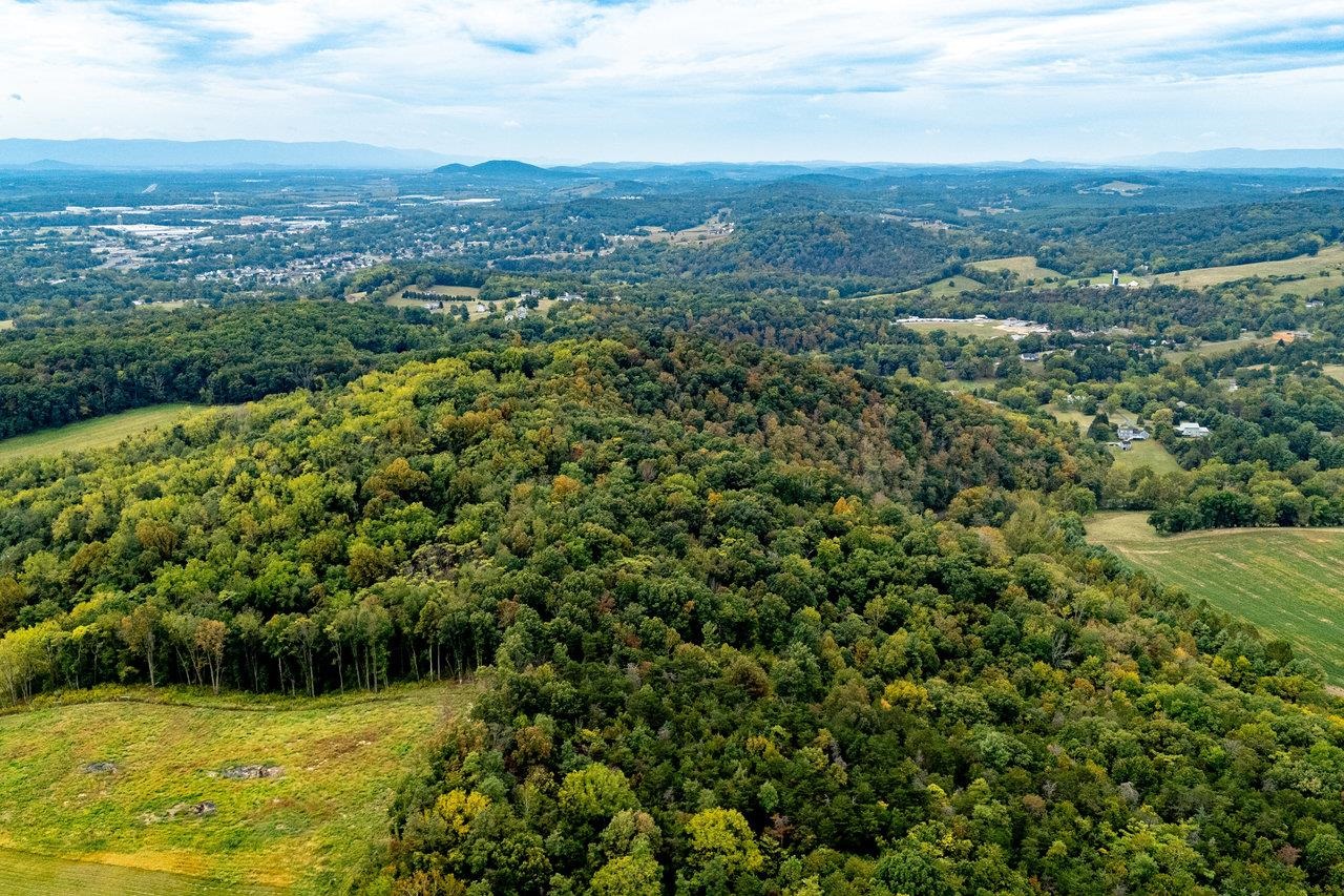 TBD BALD ROCK RD, VERONA, Virginia 24482, ,Farm,14,TBD BALD ROCK RD,669541 MLS # 669541 TBD BALD ROCK RD, VERONA, Virginia 24482, ,Farm,14,TBD BALD ROCK RD,669541 MLS # 669541