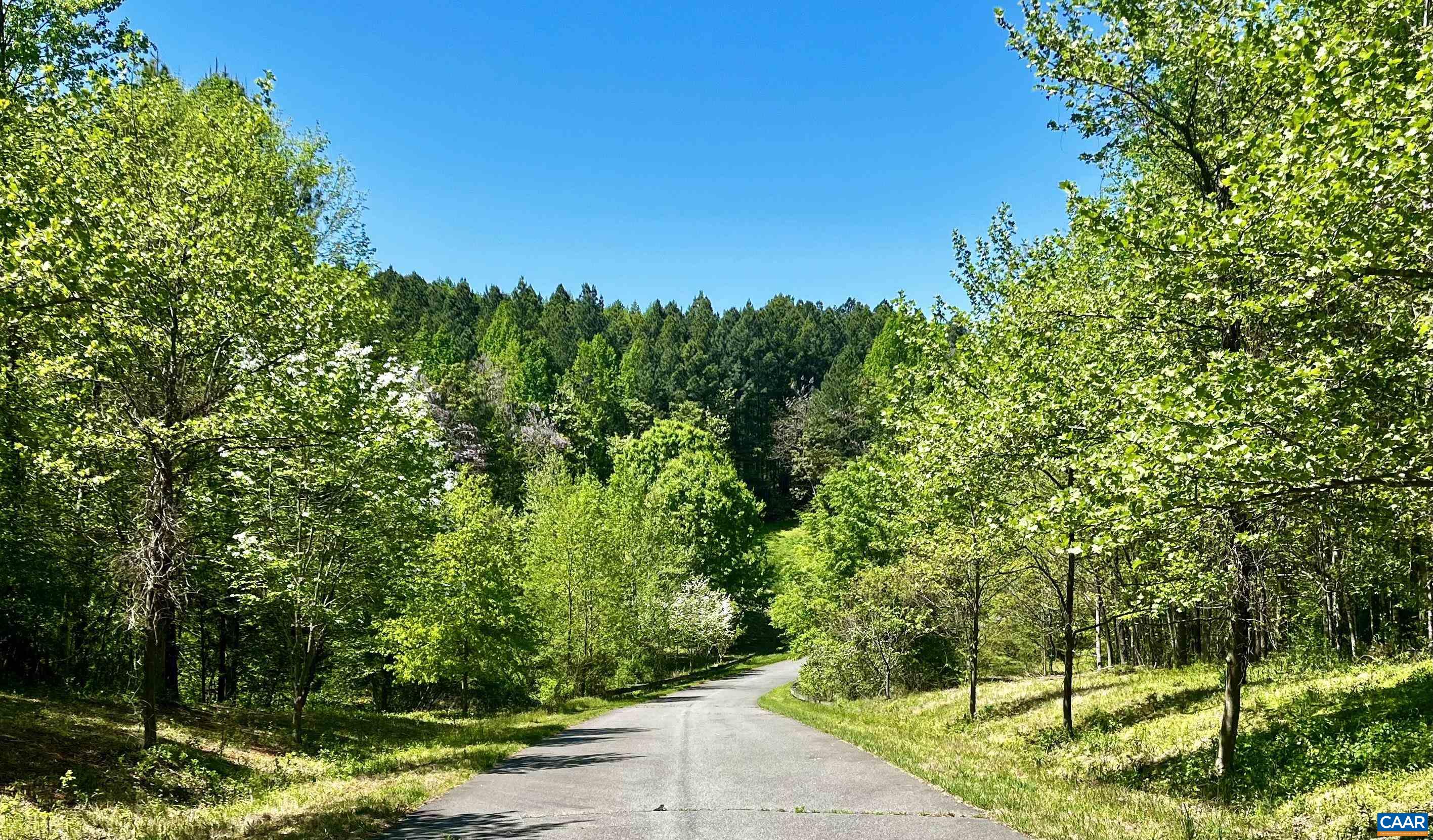 Lot G COOPERS LN, CHARLOTTESVILLE, Virginia 22902, ,Land,14,Lot G COOPERS LN,682489 MLS # 682489 Lot G COOPERS LN, CHARLOTTESVILLE, Virginia 22902, ,Land,14,Lot G COOPERS LN,682489 MLS # 682489