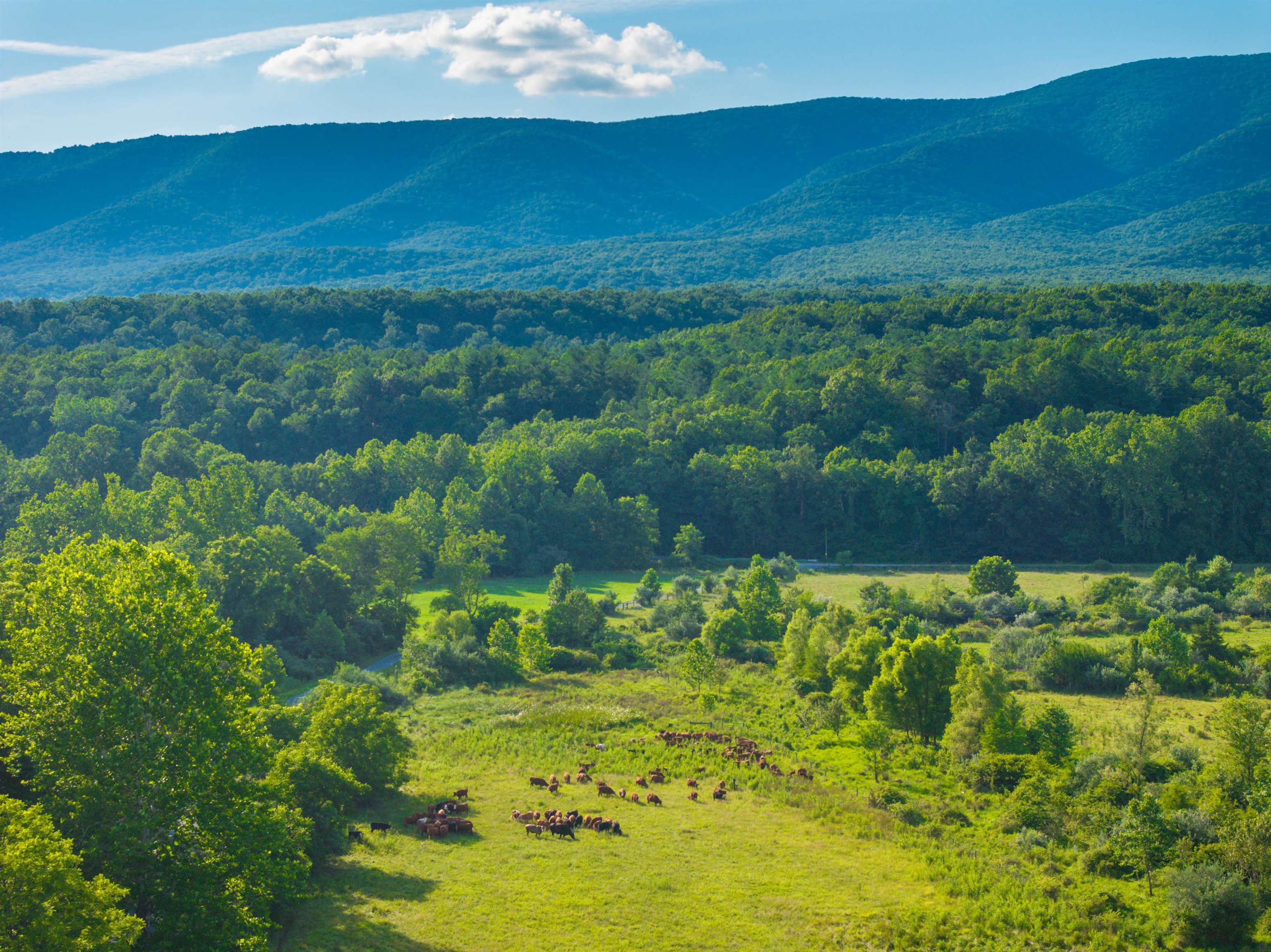 2276 LITTLE CALF PASTURE HWY, SWOOPE, Virginia 24479, 5 Bedrooms Bedrooms, ,3 BathroomsBathrooms,Residential,14,2276 LITTLE CALF PASTURE HWY,682794 MLS # 682794
