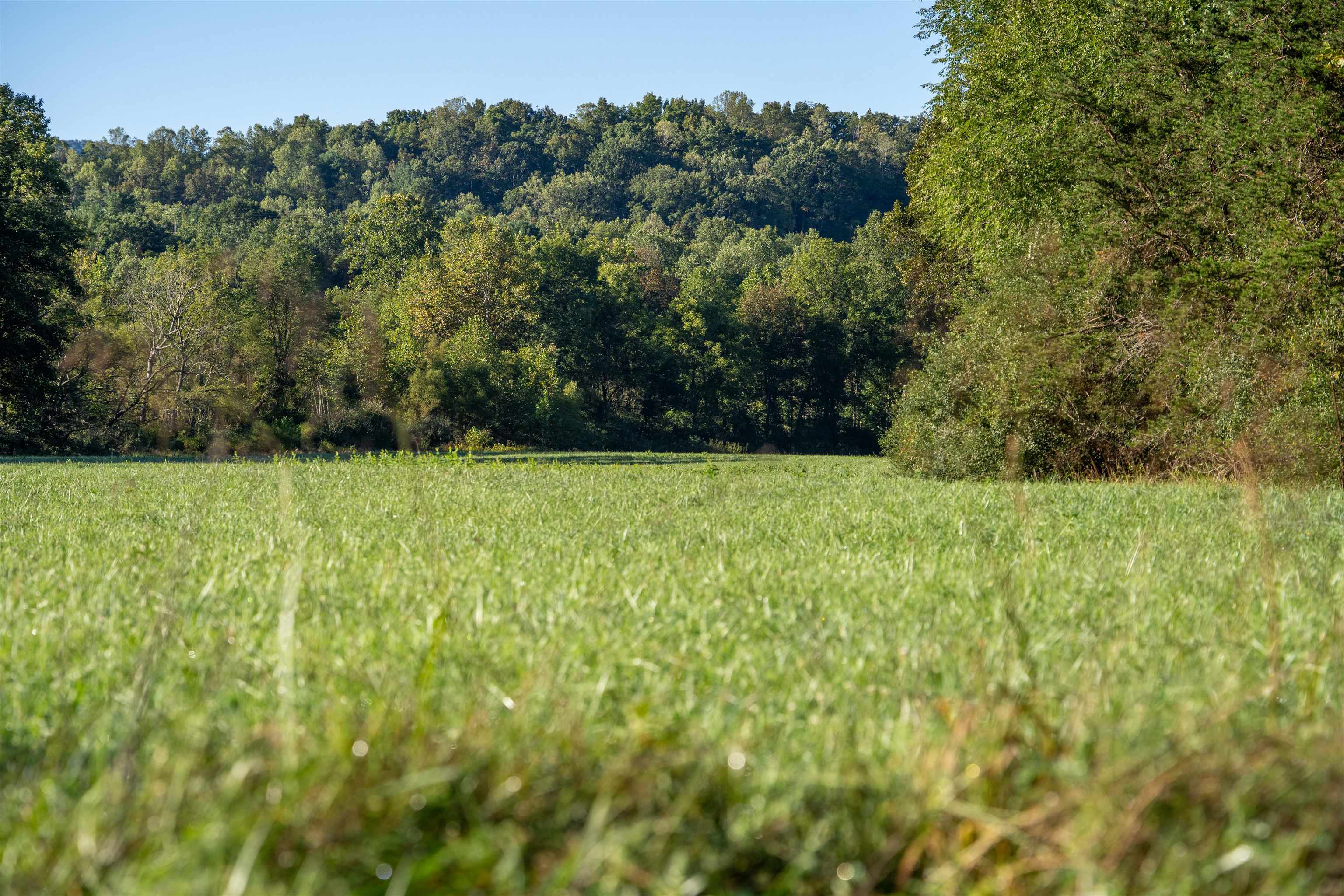 2276 LITTLE CALF PASTURE HWY, SWOOPE, Virginia 24479, 5 Bedrooms Bedrooms, ,3 BathroomsBathrooms,Residential,14,2276 LITTLE CALF PASTURE HWY,682794 MLS # 682794