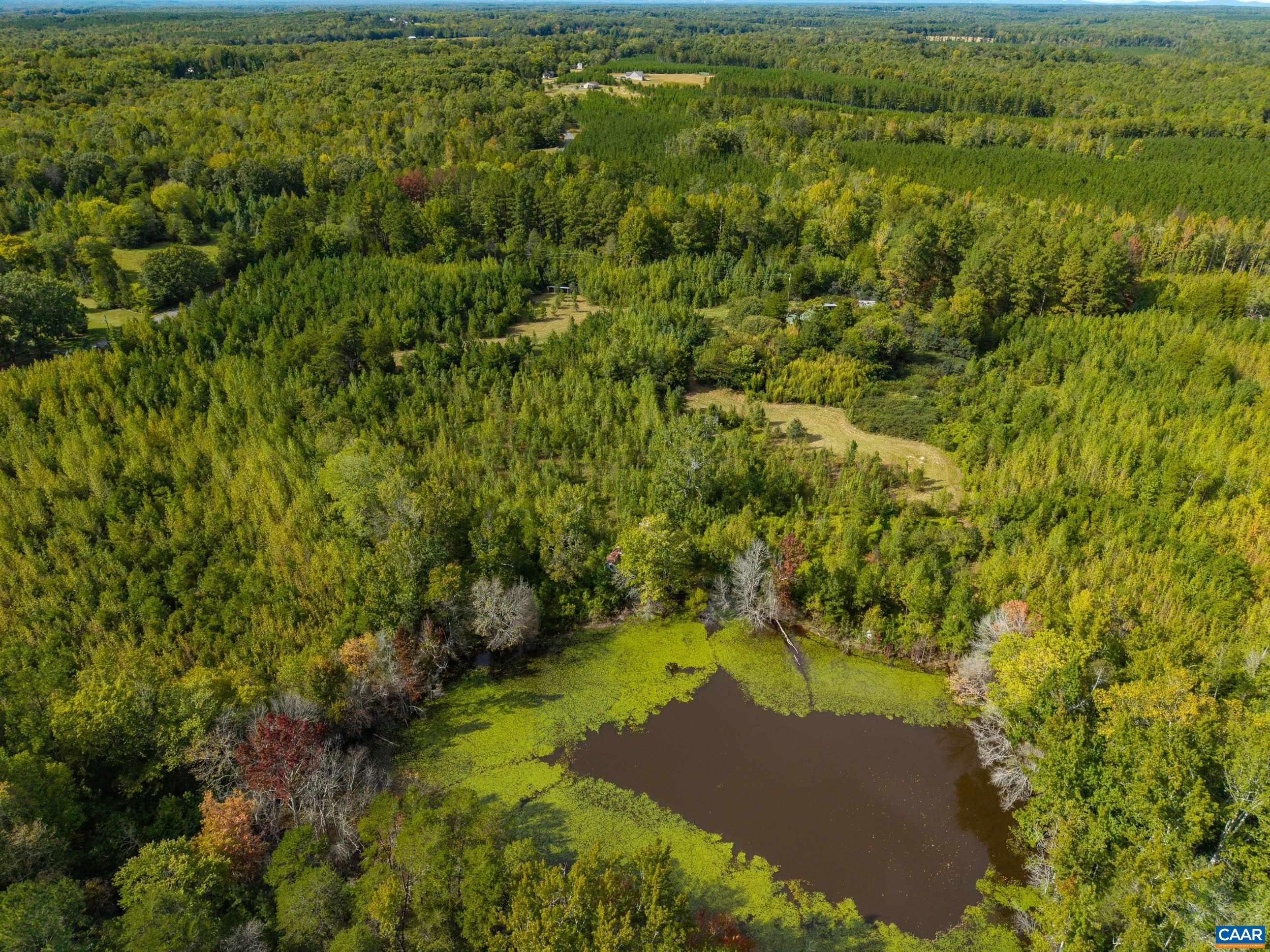 864 RISING SUN RD, PALMYRA, Virginia 22963, ,Land,14,864 RISING SUN RD,682923 MLS # 682923 864 RISING SUN RD, PALMYRA, Virginia 22963, ,Land,14,864 RISING SUN RD,682923 MLS # 682923
