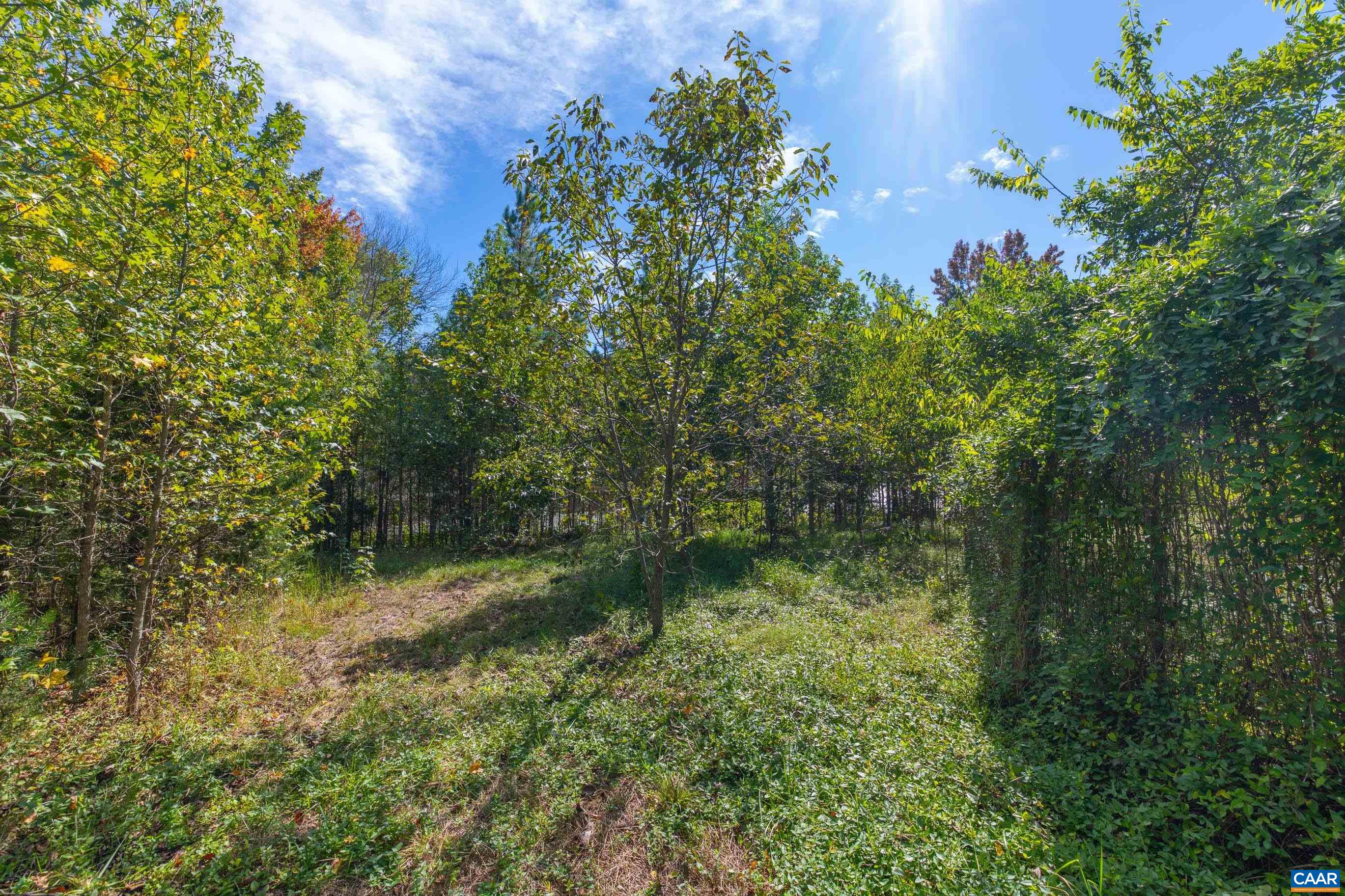 864 RISING SUN RD, PALMYRA, Virginia 22963, ,Land,14,864 RISING SUN RD,682923 MLS # 682923 864 RISING SUN RD, PALMYRA, Virginia 22963, ,Land,14,864 RISING SUN RD,682923 MLS # 682923