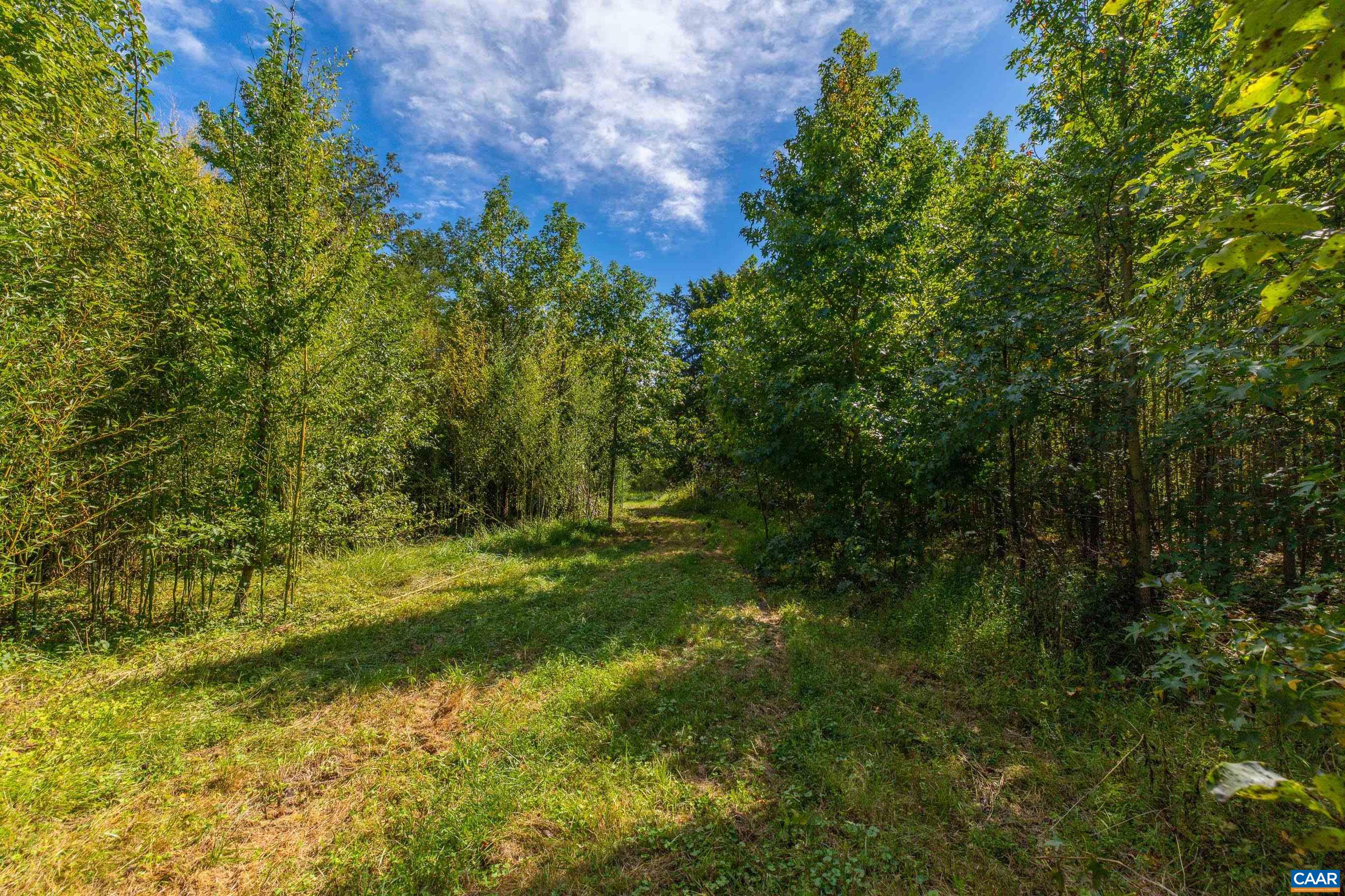864 RISING SUN RD, PALMYRA, Virginia 22963, ,Land,14,864 RISING SUN RD,682923 MLS # 682923 864 RISING SUN RD, PALMYRA, Virginia 22963, ,Land,14,864 RISING SUN RD,682923 MLS # 682923