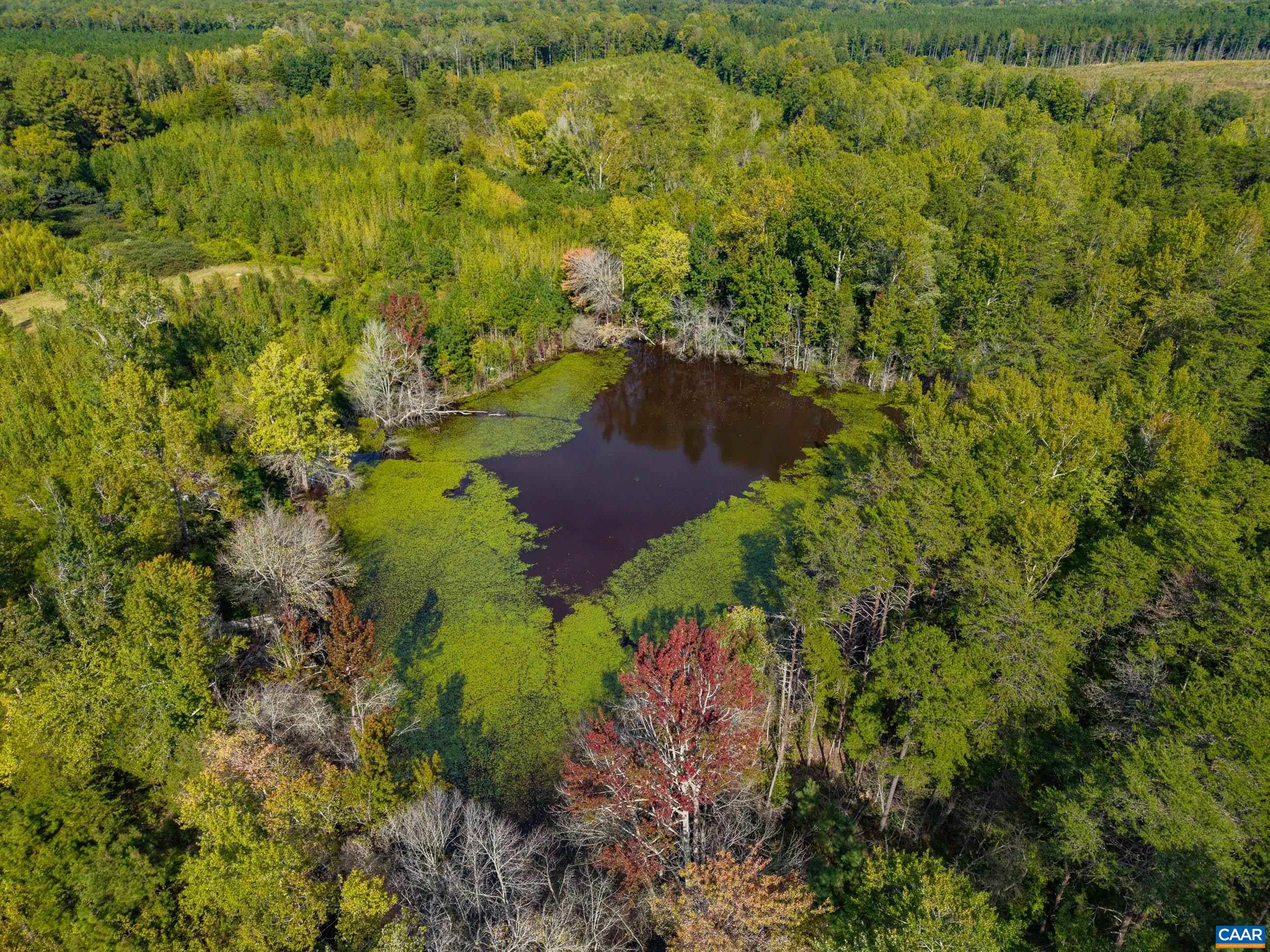 864 RISING SUN RD, PALMYRA, Virginia 22963, ,Land,14,864 RISING SUN RD,682923 MLS # 682923 864 RISING SUN RD, PALMYRA, Virginia 22963, ,Land,14,864 RISING SUN RD,682923 MLS # 682923