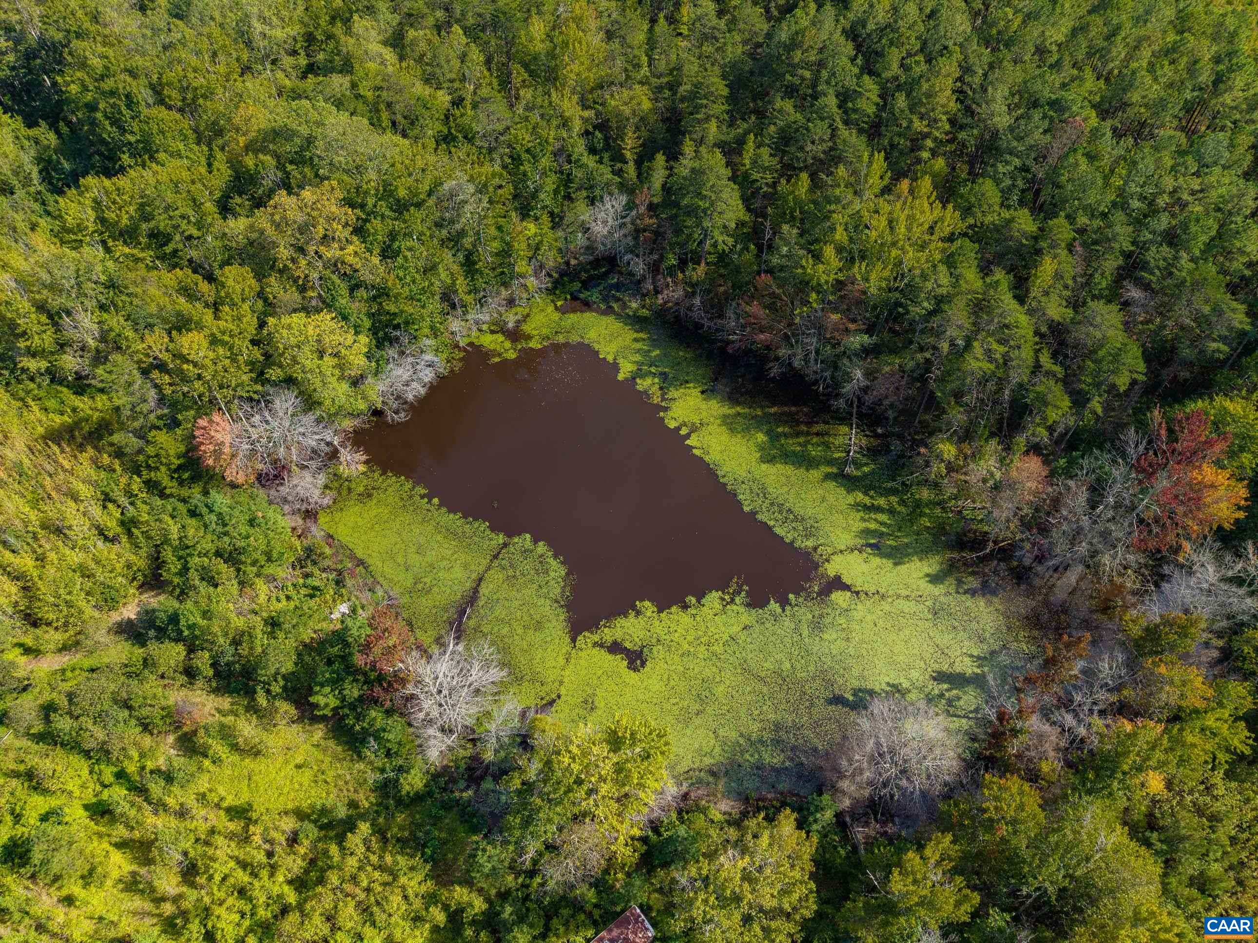 864 RISING SUN RD, PALMYRA, Virginia 22963, ,Land,14,864 RISING SUN RD,682923 MLS # 682923 864 RISING SUN RD, PALMYRA, Virginia 22963, ,Land,14,864 RISING SUN RD,682923 MLS # 682923