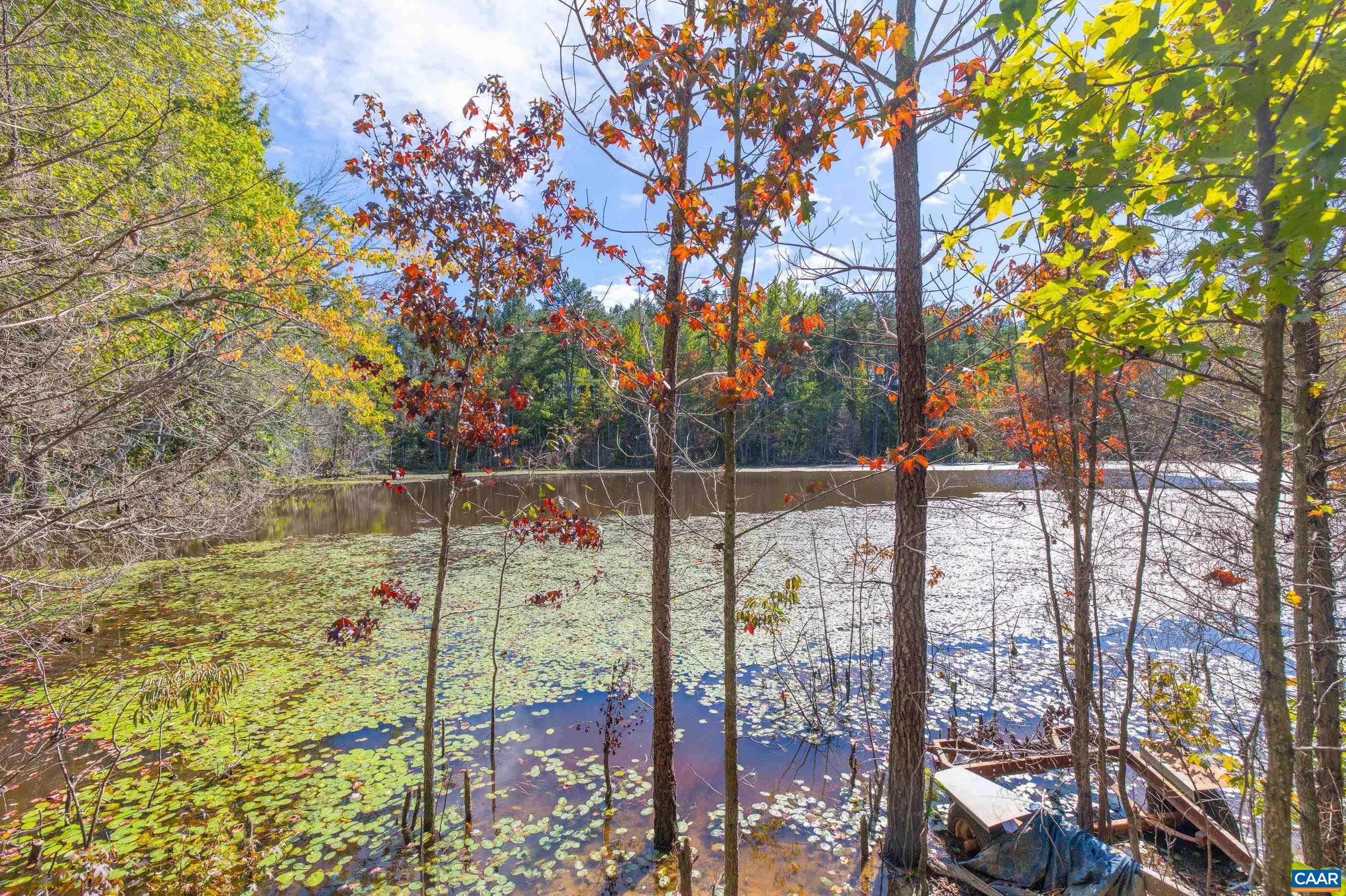 864 RISING SUN RD, PALMYRA, Virginia 22963, ,Land,14,864 RISING SUN RD,682923 MLS # 682923 864 RISING SUN RD, PALMYRA, Virginia 22963, ,Land,14,864 RISING SUN RD,682923 MLS # 682923
