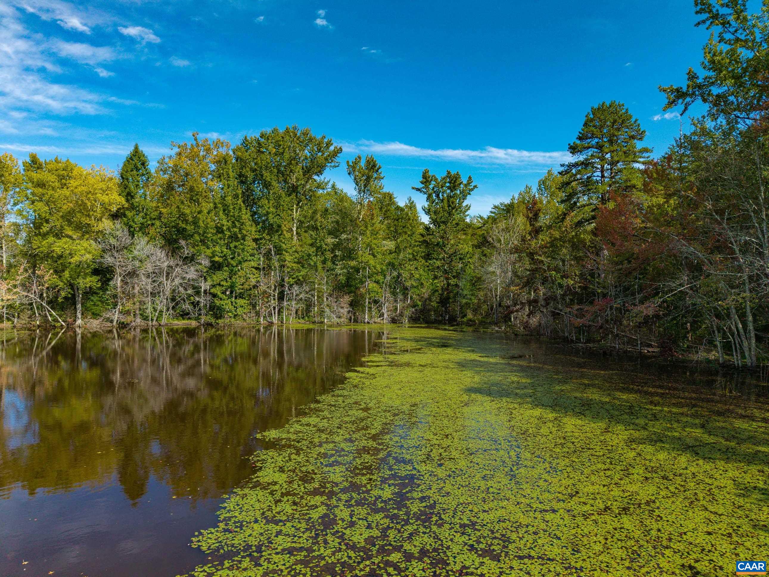 864 RISING SUN RD, PALMYRA, Virginia 22963, ,Land,14,864 RISING SUN RD,682923 MLS # 682923 864 RISING SUN RD, PALMYRA, Virginia 22963, ,Land,14,864 RISING SUN RD,682923 MLS # 682923