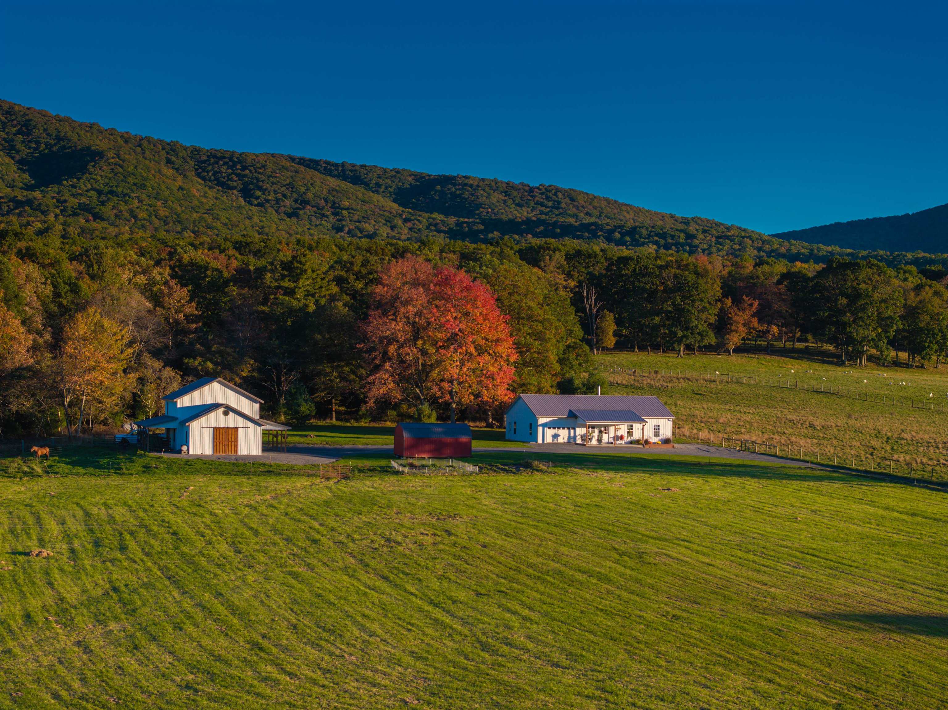 2059 JACKSON RIVER RD, MONTEREY, Virginia 24465, 3 Bedrooms Bedrooms, ,1 BathroomBathrooms,Residential,14,2059 JACKSON RIVER RD,683033 MLS # 683033 2059 JACKSON RIVER RD, MONTEREY, Virginia 24465, 3 Bedrooms Bedrooms, ,1 BathroomBathrooms,Residential,14,2059 JACKSON RIVER RD,683033 MLS # 683033