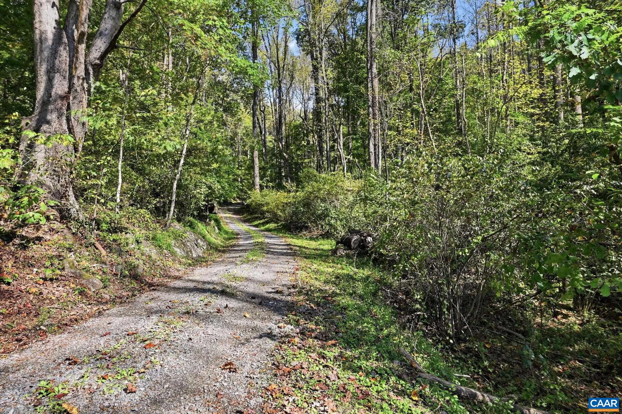 1956 LOCUST HOLLOW RD, CHARLOTTESVILLE, Virginia 22901, 3 Bedrooms Bedrooms, ,2 BathroomsBathrooms,Residential,14,1956 LOCUST HOLLOW RD,683202 MLS # 683202 1956 LOCUST HOLLOW RD, CHARLOTTESVILLE, Virginia 22901, 3 Bedrooms Bedrooms, ,2 BathroomsBathrooms,Residential,14,1956 LOCUST HOLLOW RD,683202 MLS # 683202