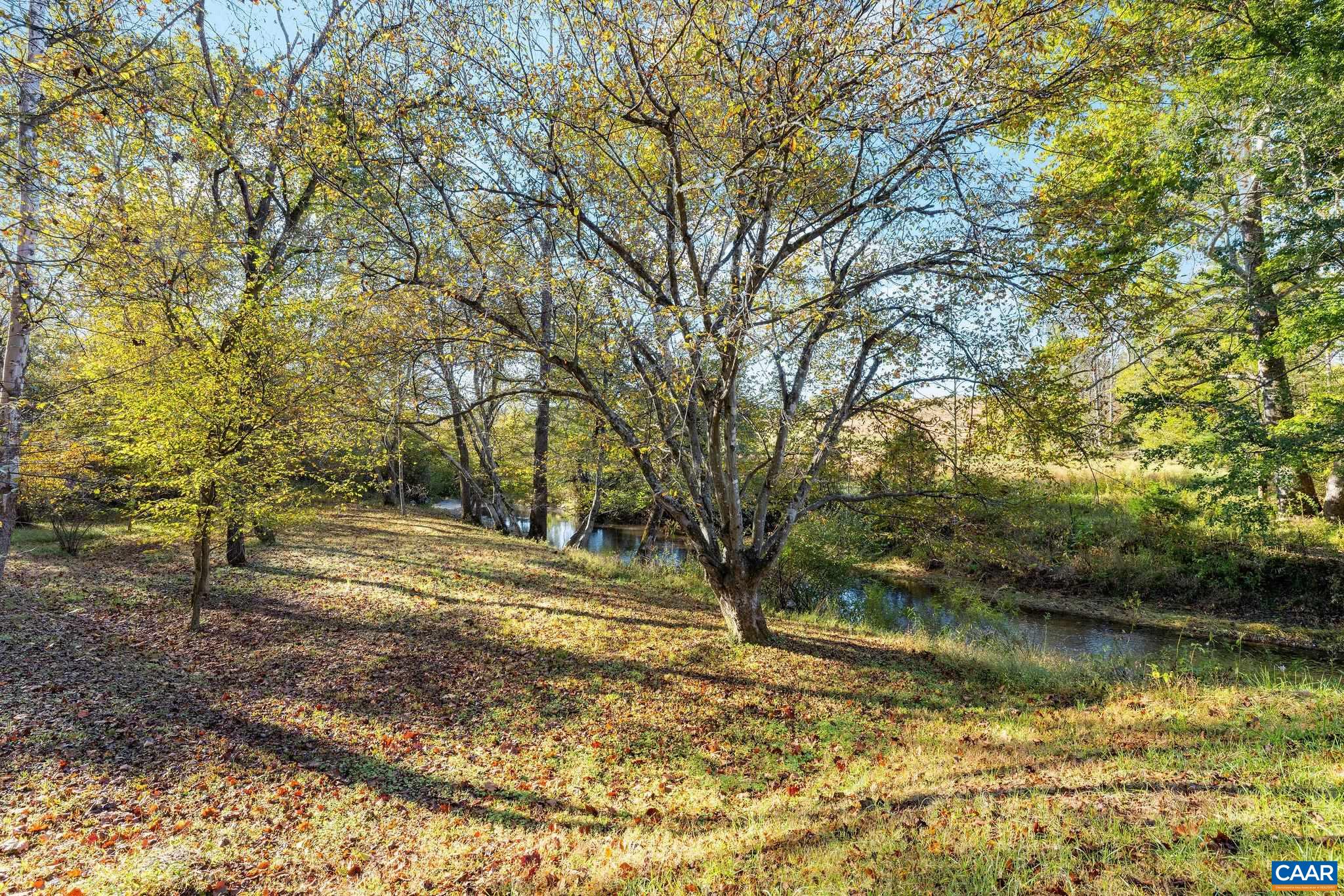 8486 ROCKFISH VALLEY HWY, AFTON, Virginia 22920, 3 Bedrooms Bedrooms, ,3 BathroomsBathrooms,Residential,14,8486 ROCKFISH VALLEY HWY,683462 MLS # 683462