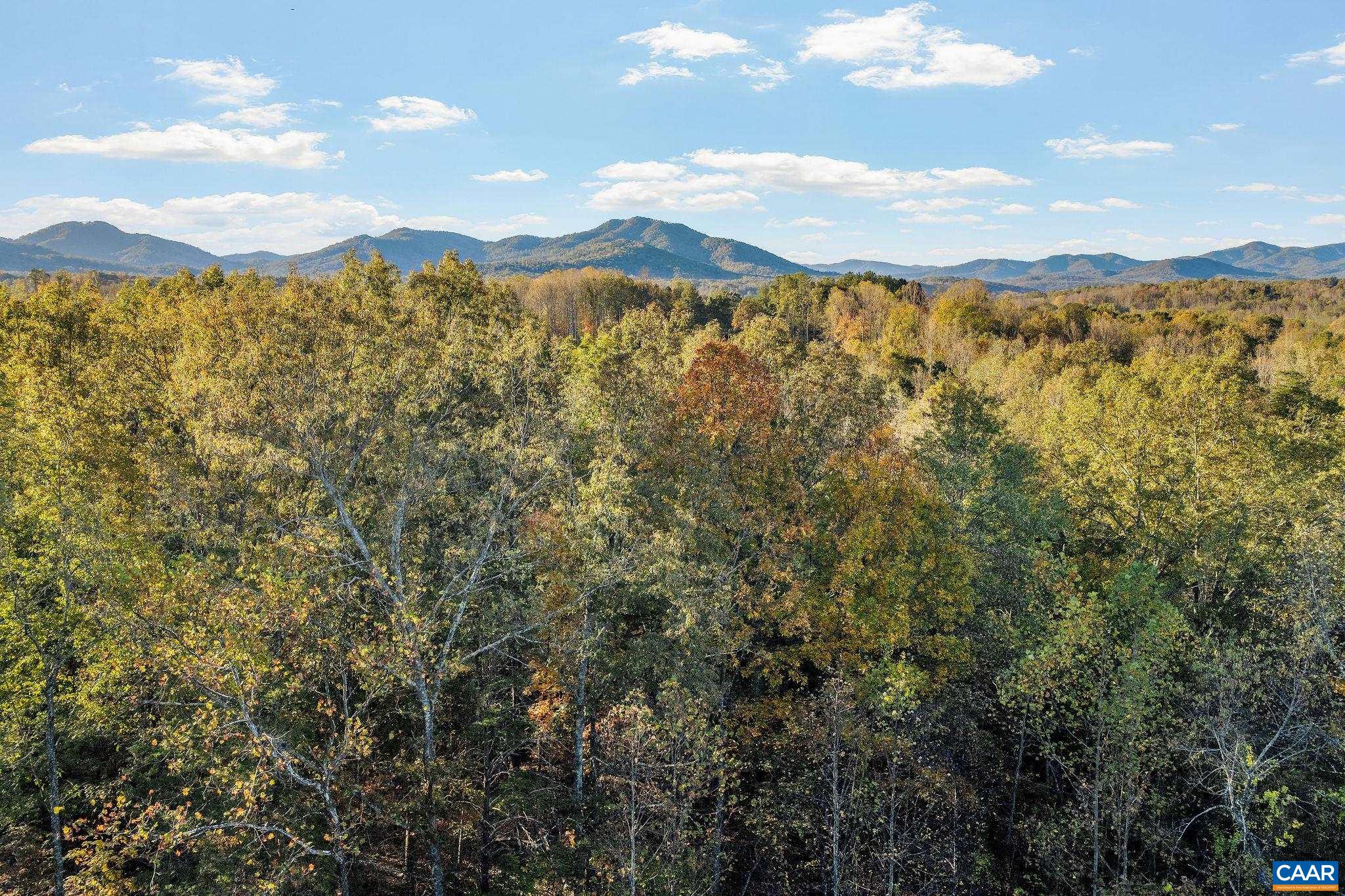 8486 ROCKFISH VALLEY HWY, AFTON, Virginia 22920, 3 Bedrooms Bedrooms, ,3 BathroomsBathrooms,Residential,14,8486 ROCKFISH VALLEY HWY,683462 MLS # 683462