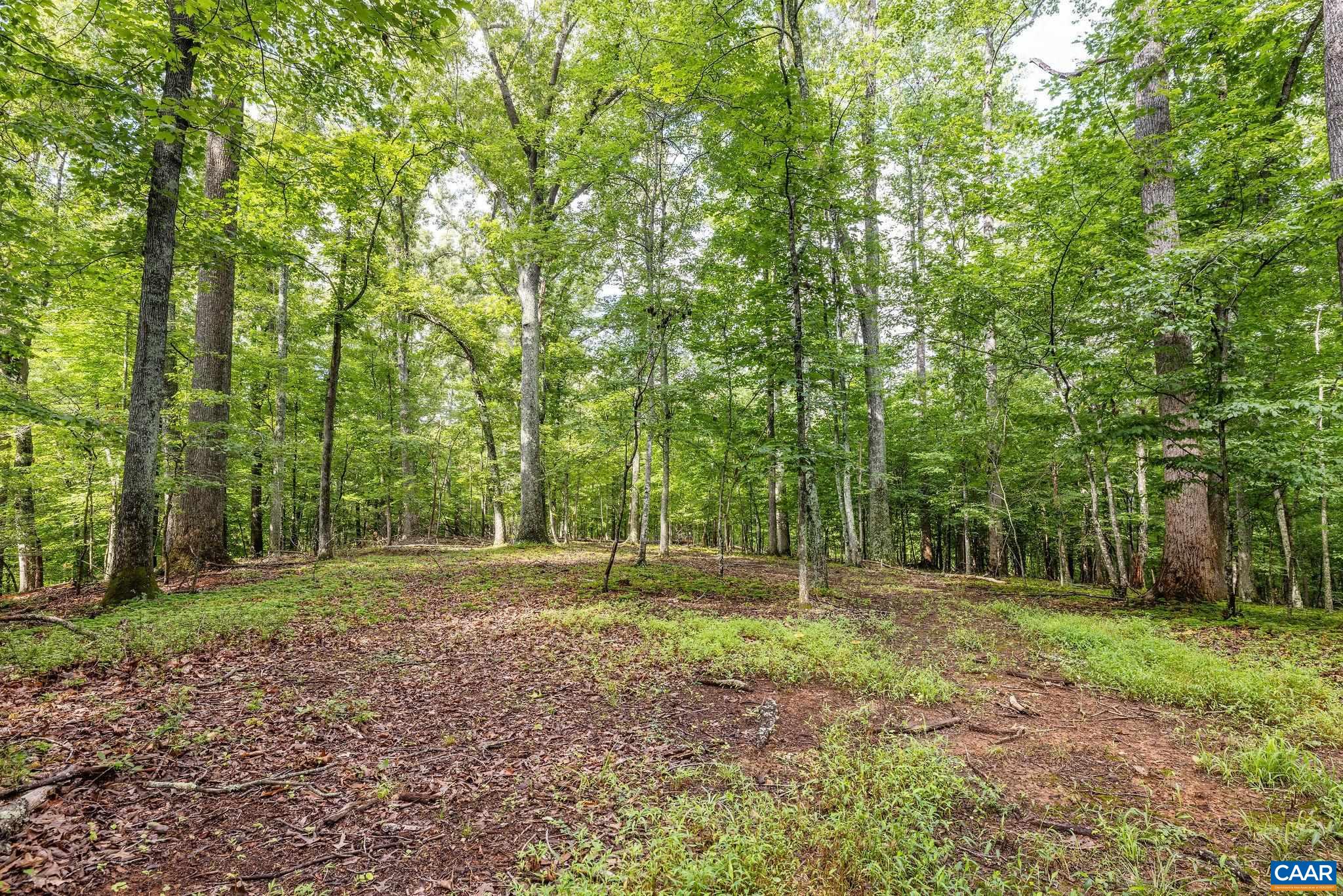 8486 ROCKFISH VALLEY HWY, AFTON, Virginia 22920, 3 Bedrooms Bedrooms, ,3 BathroomsBathrooms,Residential,14,8486 ROCKFISH VALLEY HWY,683462 MLS # 683462