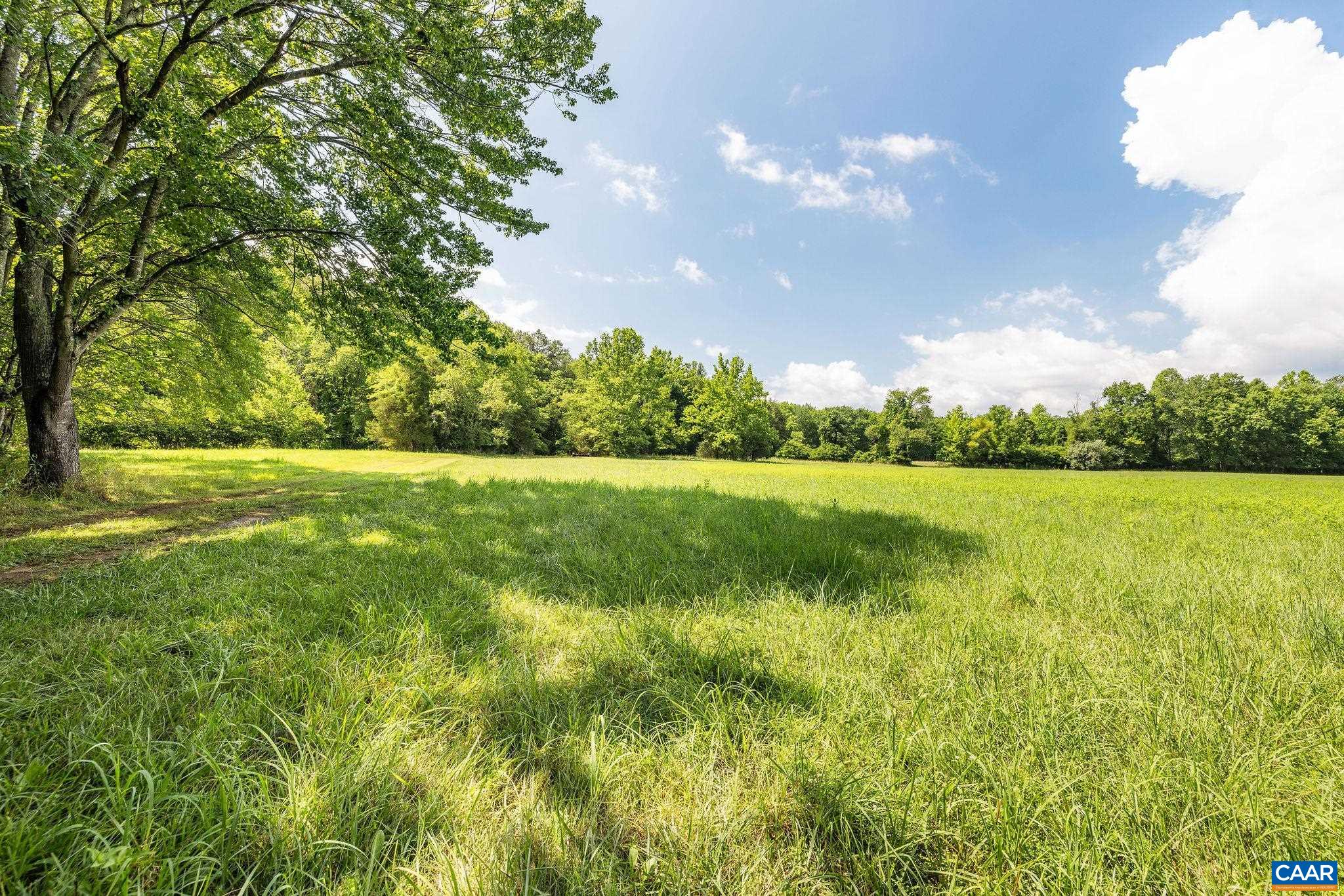 8486 ROCKFISH VALLEY HWY, AFTON, Virginia 22920, 3 Bedrooms Bedrooms, ,3 BathroomsBathrooms,Residential,14,8486 ROCKFISH VALLEY HWY,683462 MLS # 683462