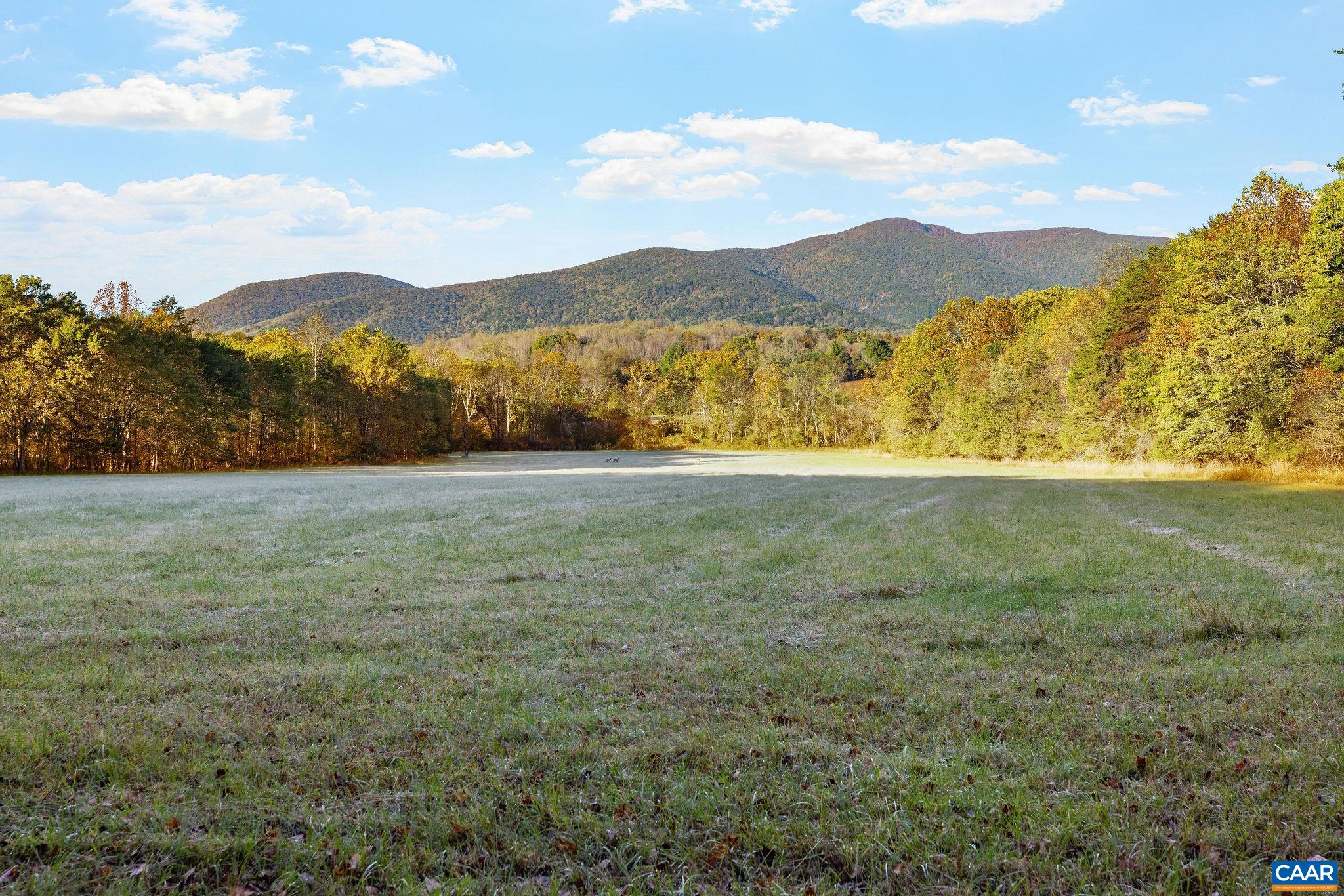 8486 ROCKFISH VALLEY HWY, AFTON, Virginia 22920, 3 Bedrooms Bedrooms, ,3 BathroomsBathrooms,Residential,14,8486 ROCKFISH VALLEY HWY,683462 MLS # 683462