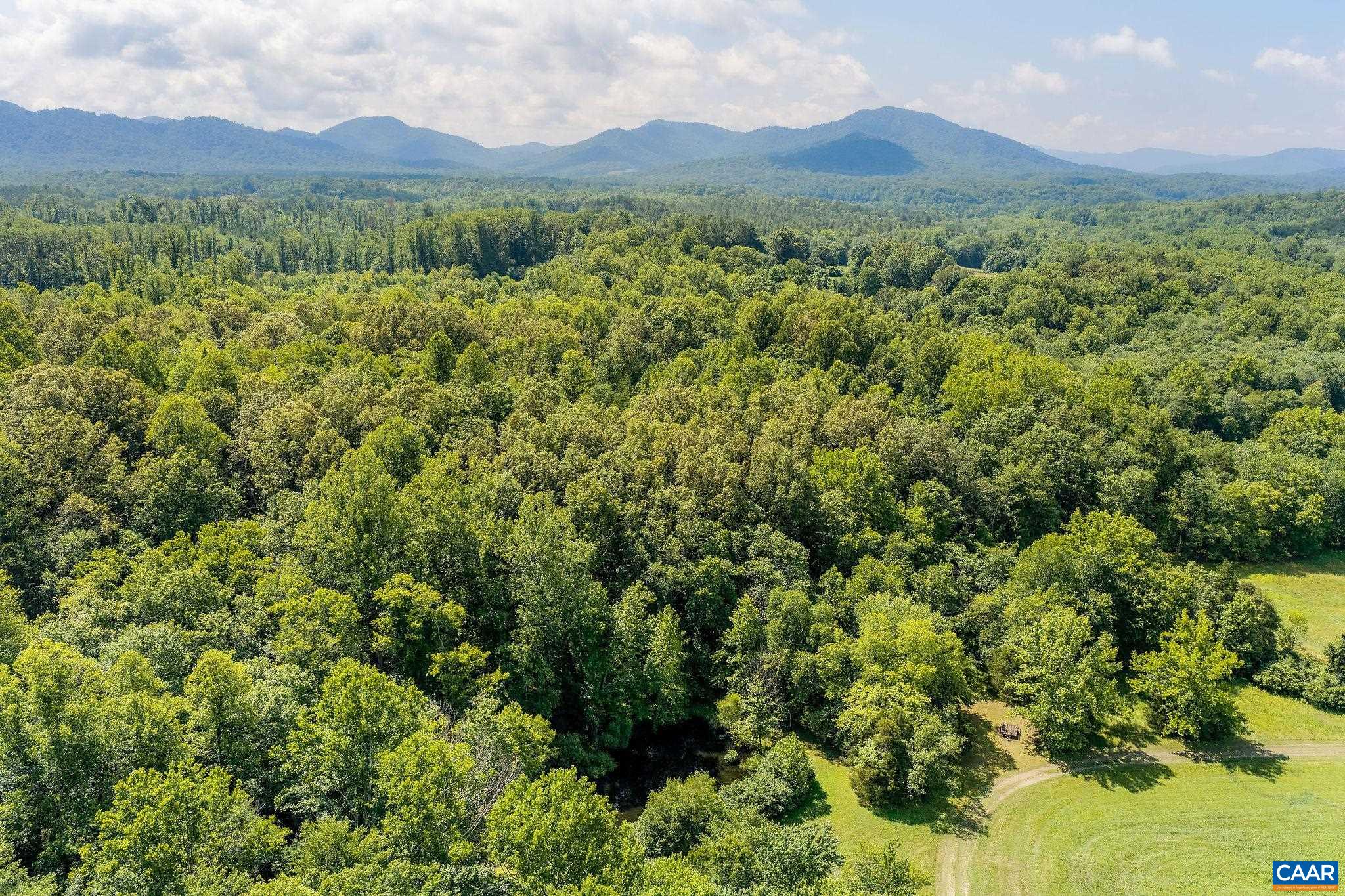 8486 ROCKFISH VALLEY HWY, AFTON, Virginia 22920, 3 Bedrooms Bedrooms, ,3 BathroomsBathrooms,Residential,14,8486 ROCKFISH VALLEY HWY,683462 MLS # 683462
