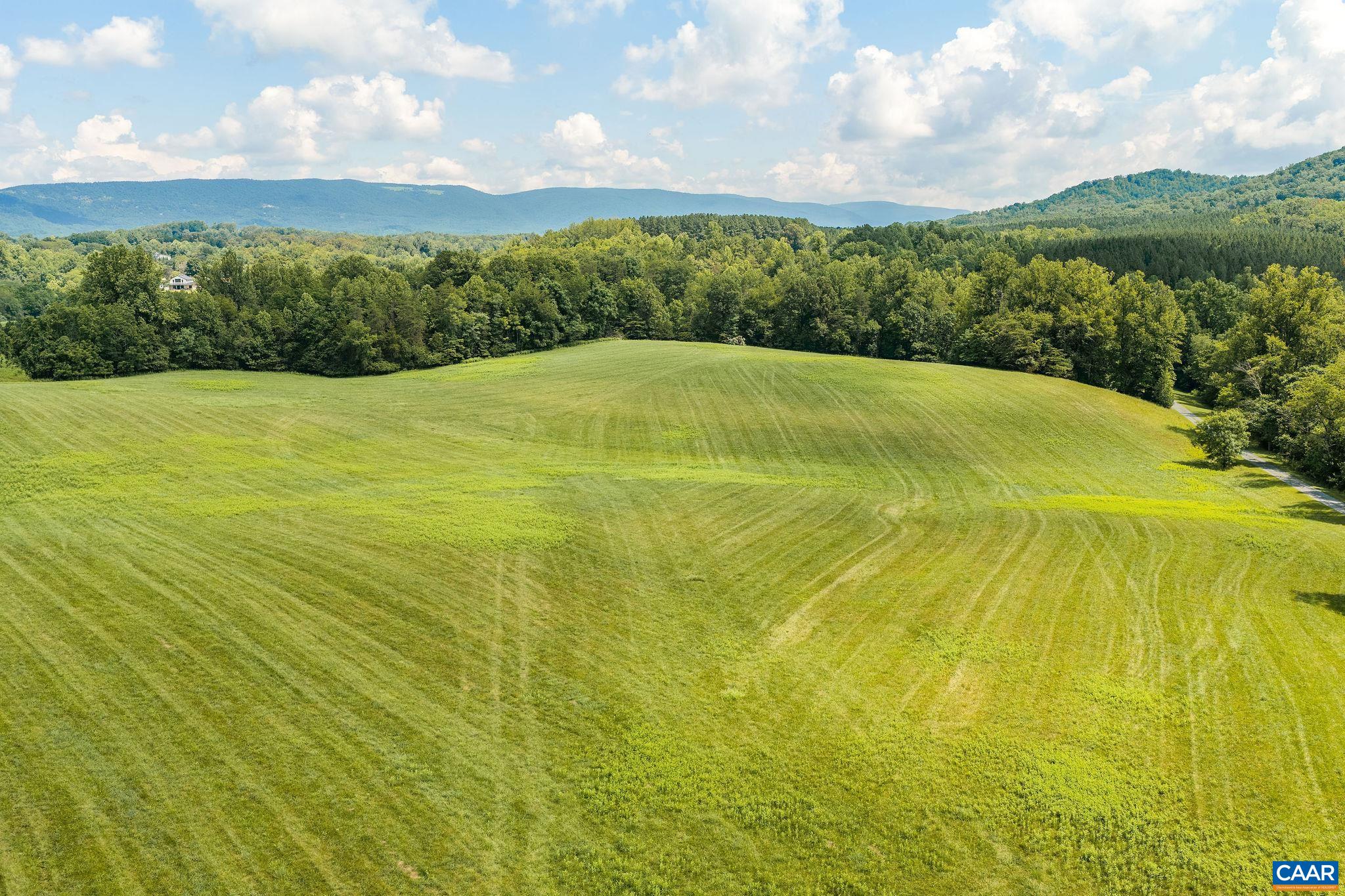 8486 ROCKFISH VALLEY HWY, AFTON, Virginia 22920, 3 Bedrooms Bedrooms, ,3 BathroomsBathrooms,Residential,14,8486 ROCKFISH VALLEY HWY,683462 MLS # 683462