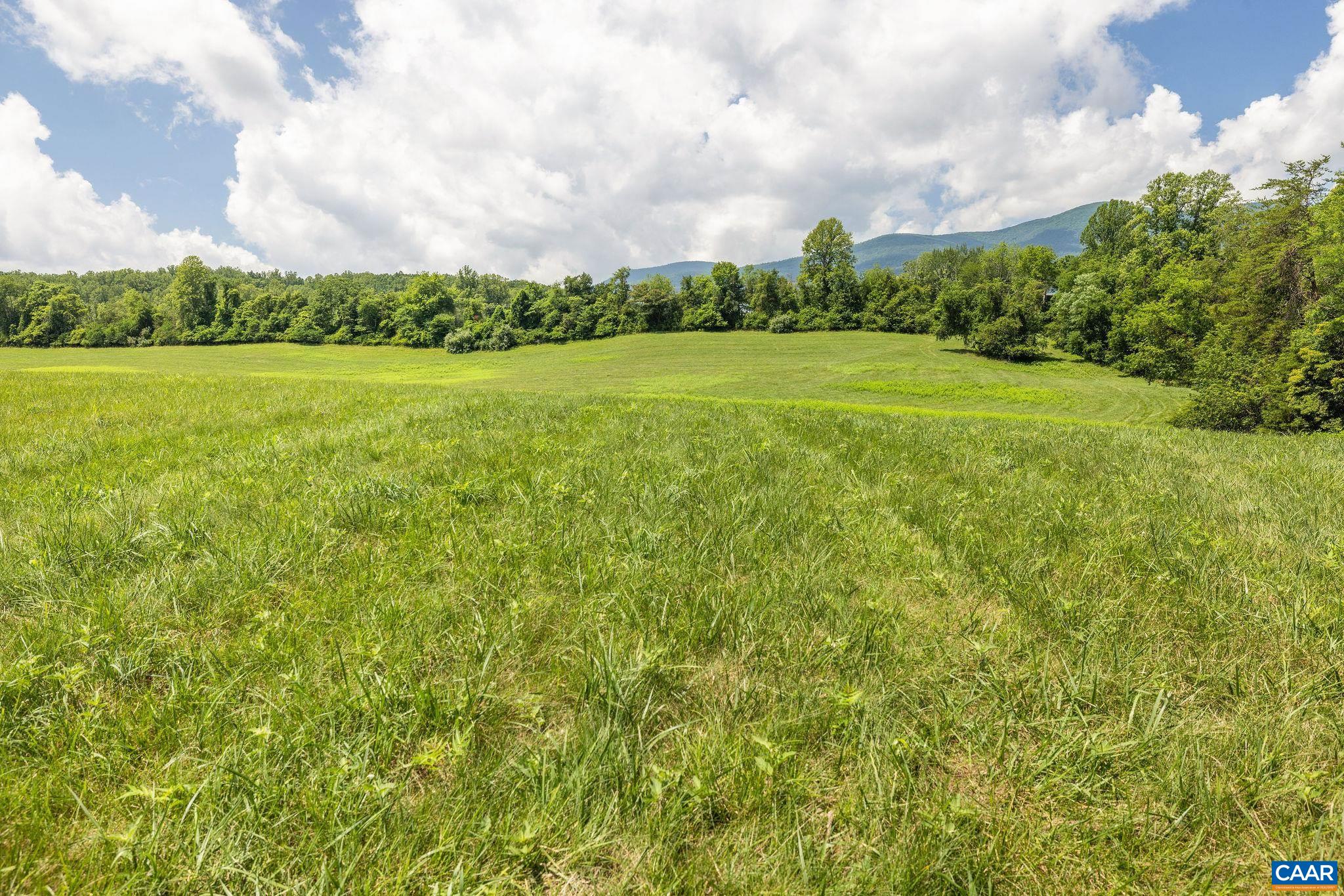 8486 ROCKFISH VALLEY HWY, AFTON, Virginia 22920, 3 Bedrooms Bedrooms, ,3 BathroomsBathrooms,Residential,14,8486 ROCKFISH VALLEY HWY,683462 MLS # 683462