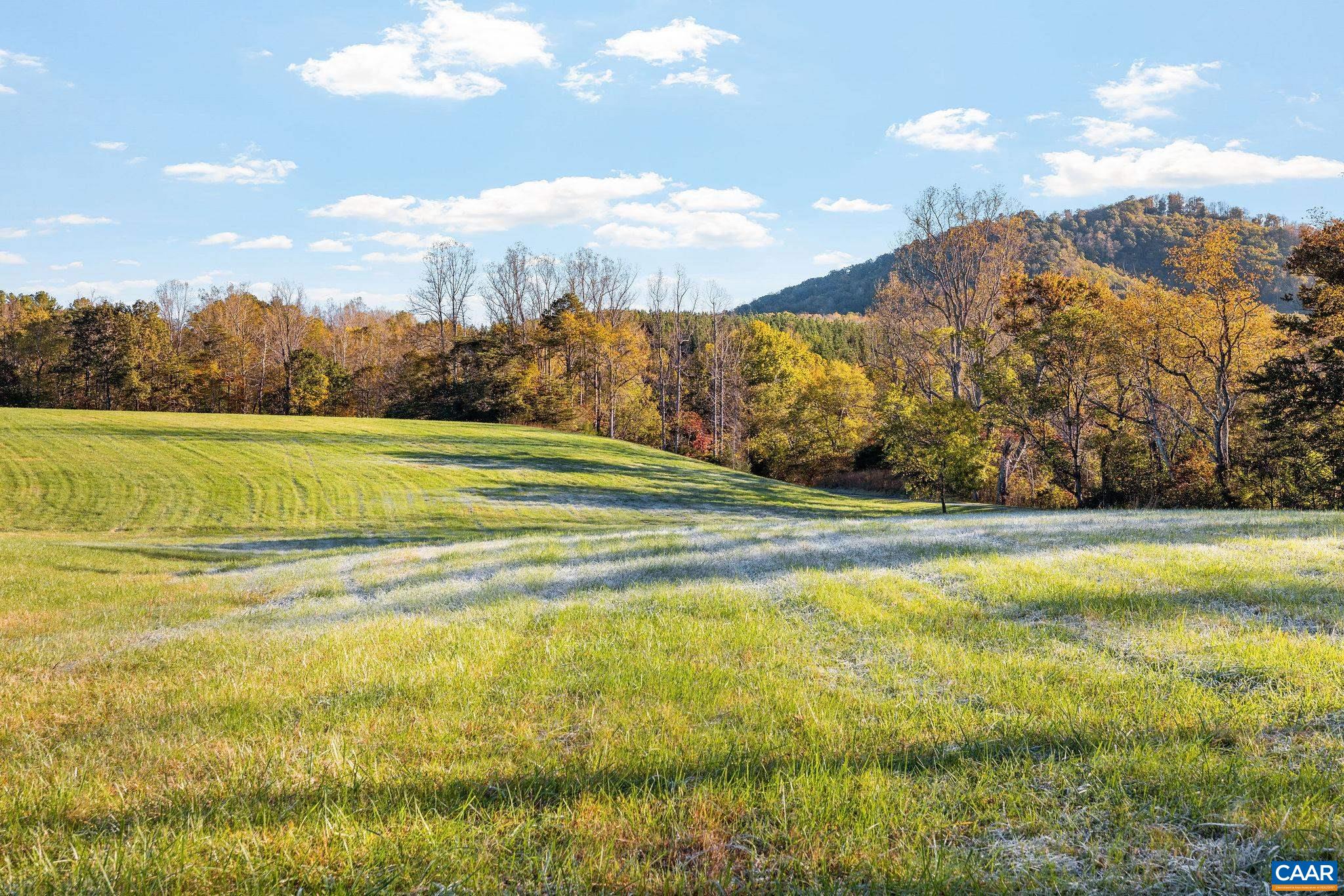 8486 ROCKFISH VALLEY HWY, AFTON, Virginia 22920, 3 Bedrooms Bedrooms, ,3 BathroomsBathrooms,Residential,14,8486 ROCKFISH VALLEY HWY,683462 MLS # 683462