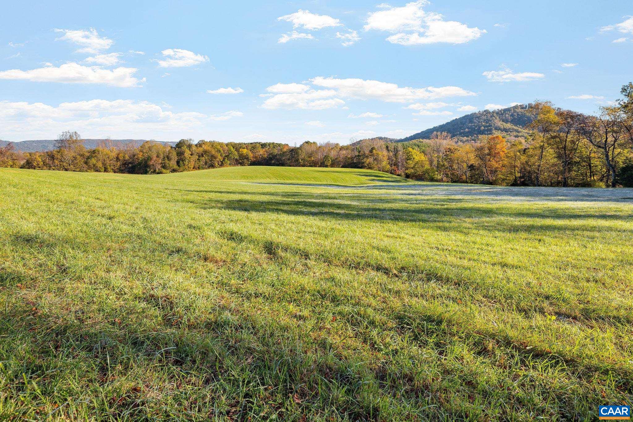 8486 ROCKFISH VALLEY HWY, AFTON, Virginia 22920, 3 Bedrooms Bedrooms, ,3 BathroomsBathrooms,Residential,14,8486 ROCKFISH VALLEY HWY,683462 MLS # 683462