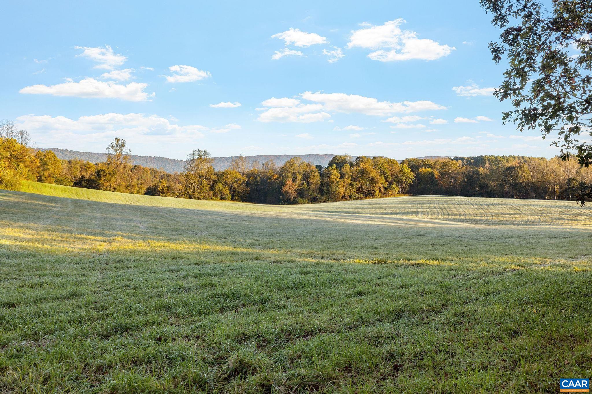 8486 ROCKFISH VALLEY HWY, AFTON, Virginia 22920, 3 Bedrooms Bedrooms, ,3 BathroomsBathrooms,Residential,14,8486 ROCKFISH VALLEY HWY,683462 MLS # 683462