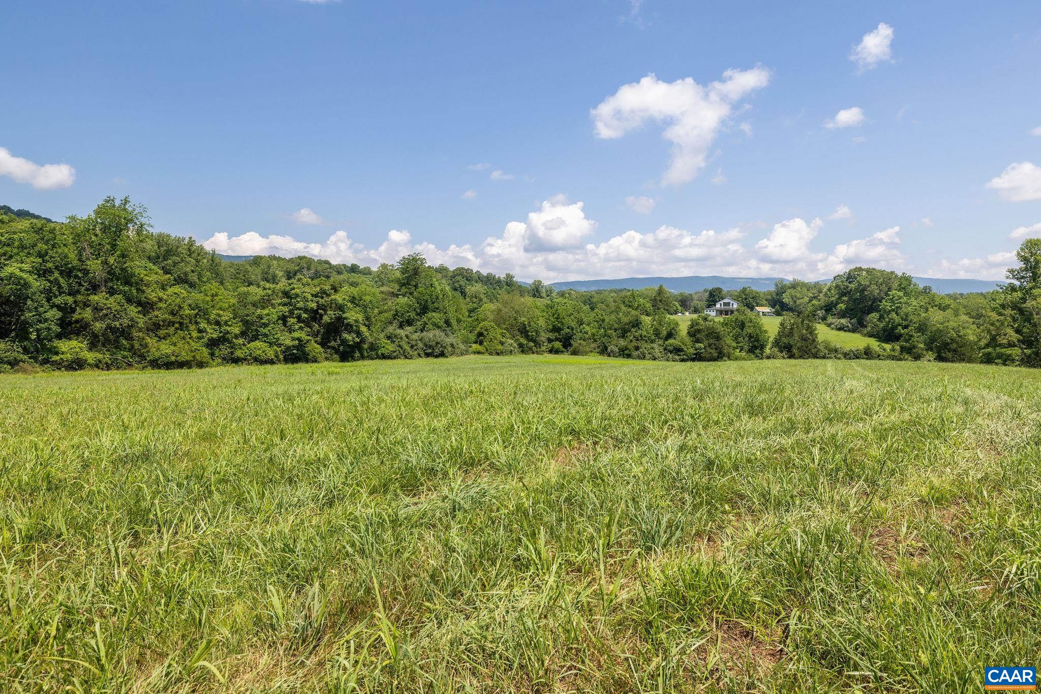 8486 ROCKFISH VALLEY HWY, AFTON, Virginia 22920, 3 Bedrooms Bedrooms, ,3 BathroomsBathrooms,Residential,14,8486 ROCKFISH VALLEY HWY,683462 MLS # 683462