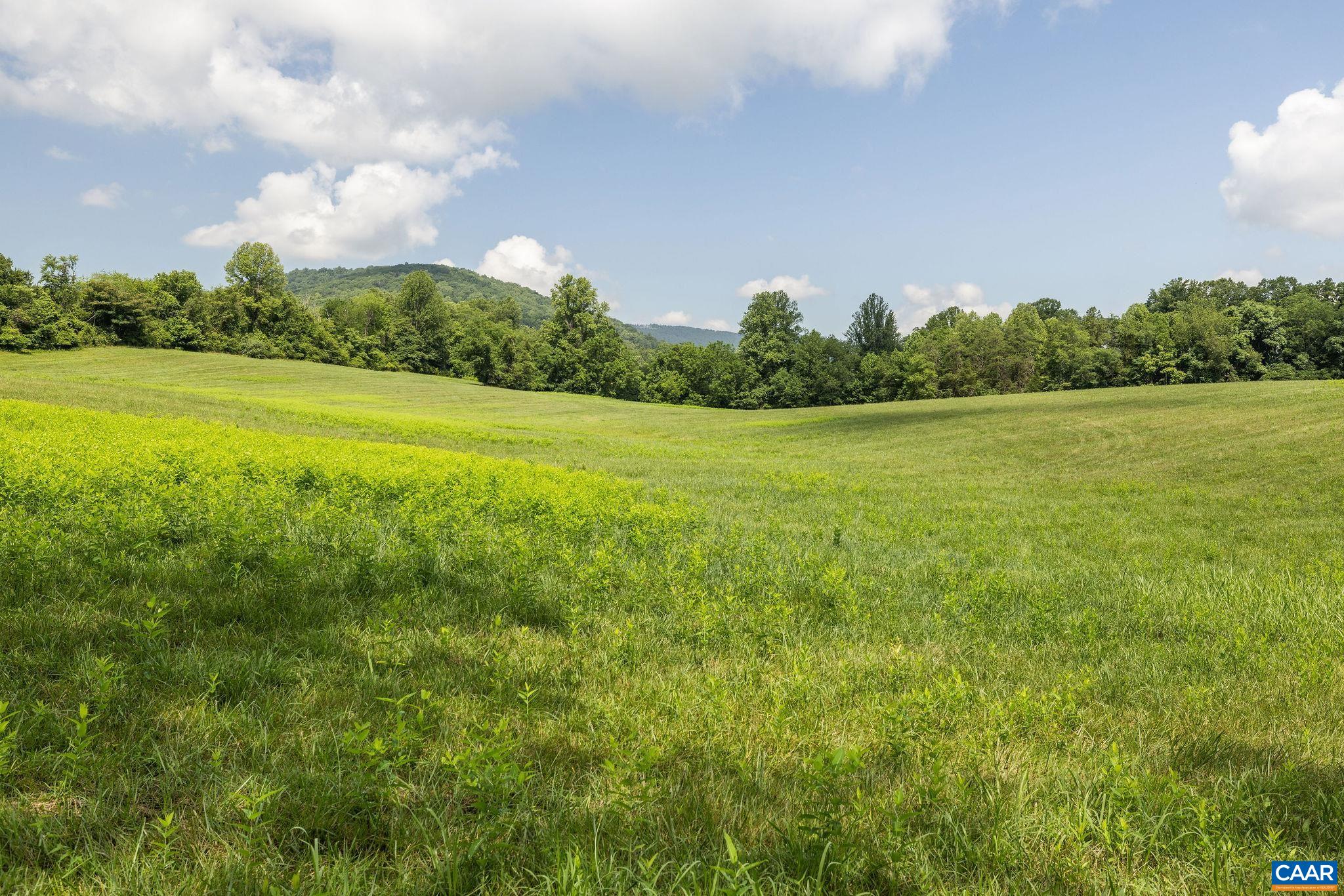8486 ROCKFISH VALLEY HWY, AFTON, Virginia 22920, 3 Bedrooms Bedrooms, ,3 BathroomsBathrooms,Residential,14,8486 ROCKFISH VALLEY HWY,683462 MLS # 683462