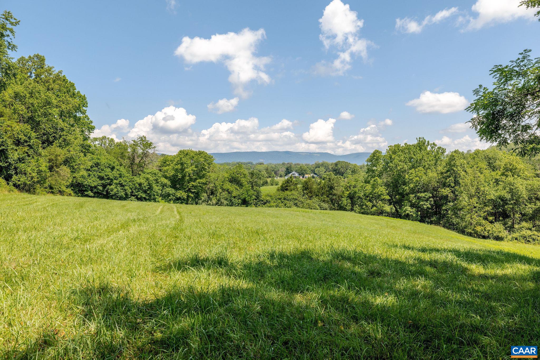 8486 ROCKFISH VALLEY HWY, AFTON, Virginia 22920, 3 Bedrooms Bedrooms, ,3 BathroomsBathrooms,Residential,14,8486 ROCKFISH VALLEY HWY,683462 MLS # 683462
