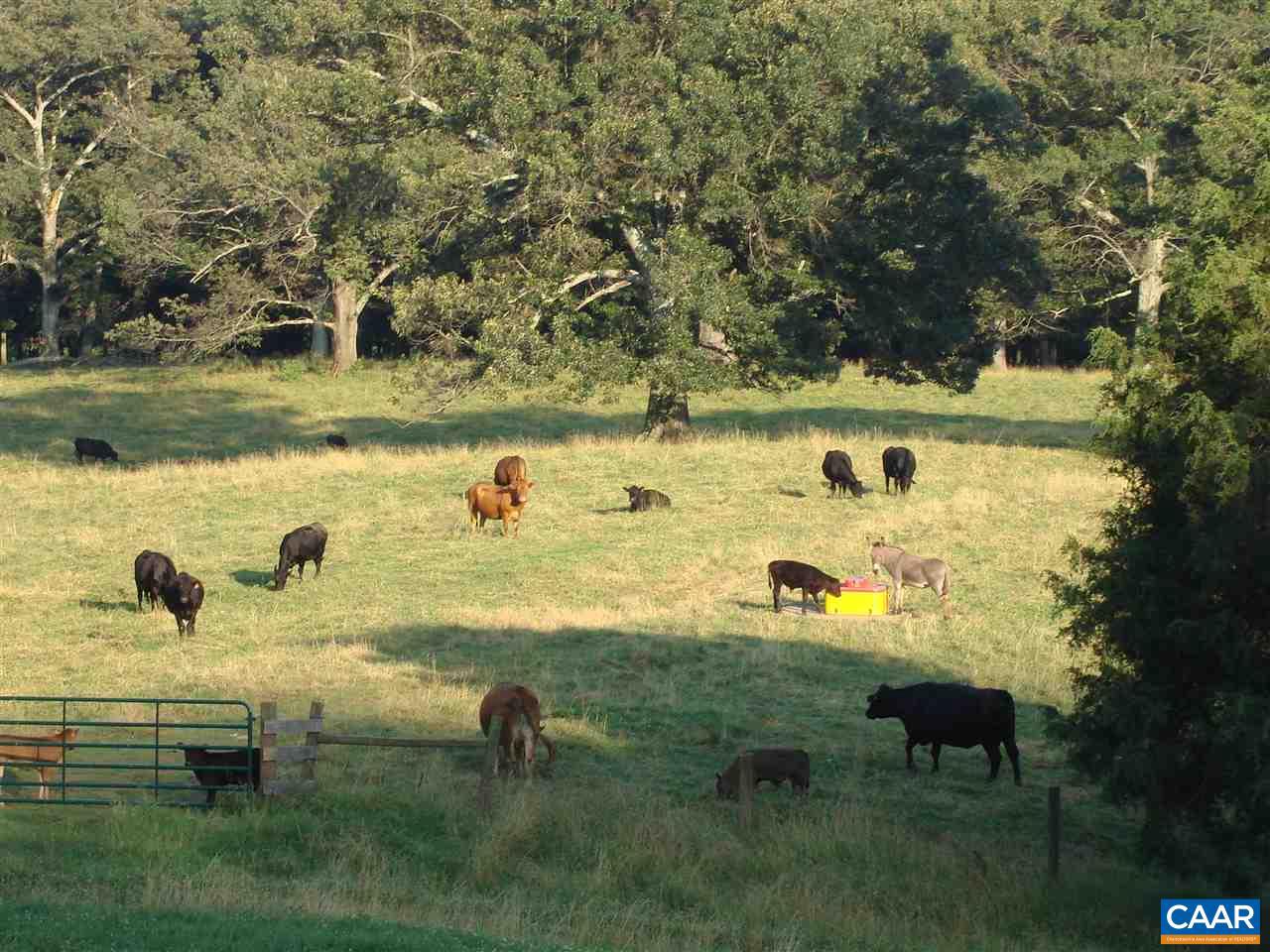 3392 EDGEMONT FARM, NORTH GARDEN, Virginia 22959, 8 Bedrooms Bedrooms, ,7 BathroomsBathrooms,Farm,For Sale,3392 EDGEMONT FARM,576150 MLS # 576150 3392 EDGEMONT FARM, NORTH GARDEN, Virginia 22959, 8 Bedrooms Bedrooms, ,7 BathroomsBathrooms,Farm,For Sale,3392 EDGEMONT FARM,576150 MLS # 576150