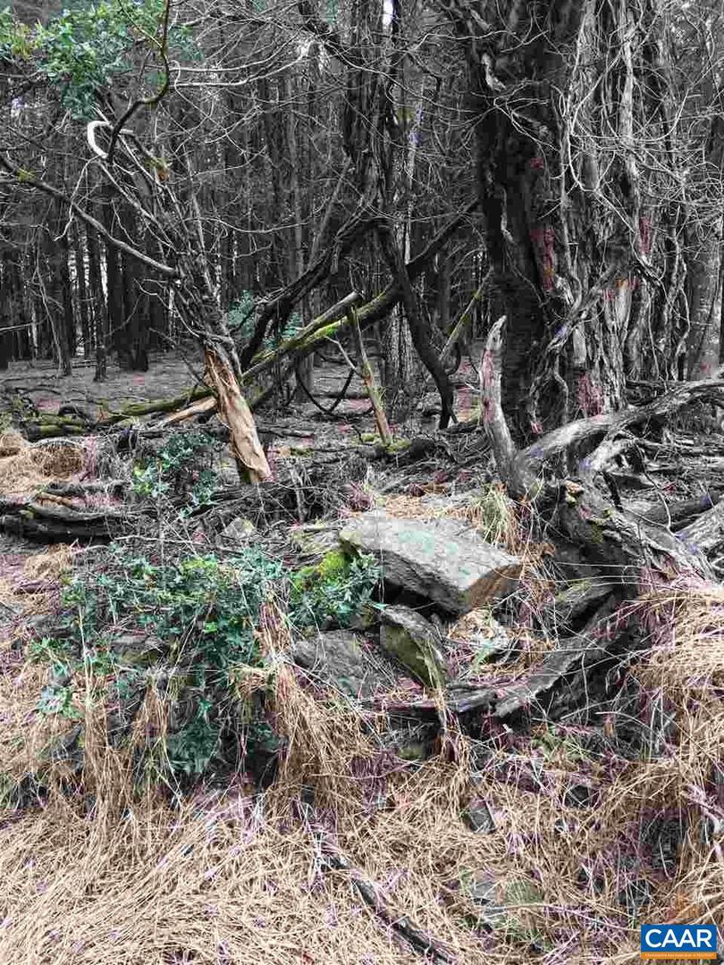 503 GARDEN LN LN, PALMYRA, Virginia 22963, ,Land,For Sale,503 GARDEN LN LN,613793 MLS # 613793 503 GARDEN LN LN, PALMYRA, Virginia 22963, ,Land,For Sale,503 GARDEN LN LN,613793 MLS # 613793