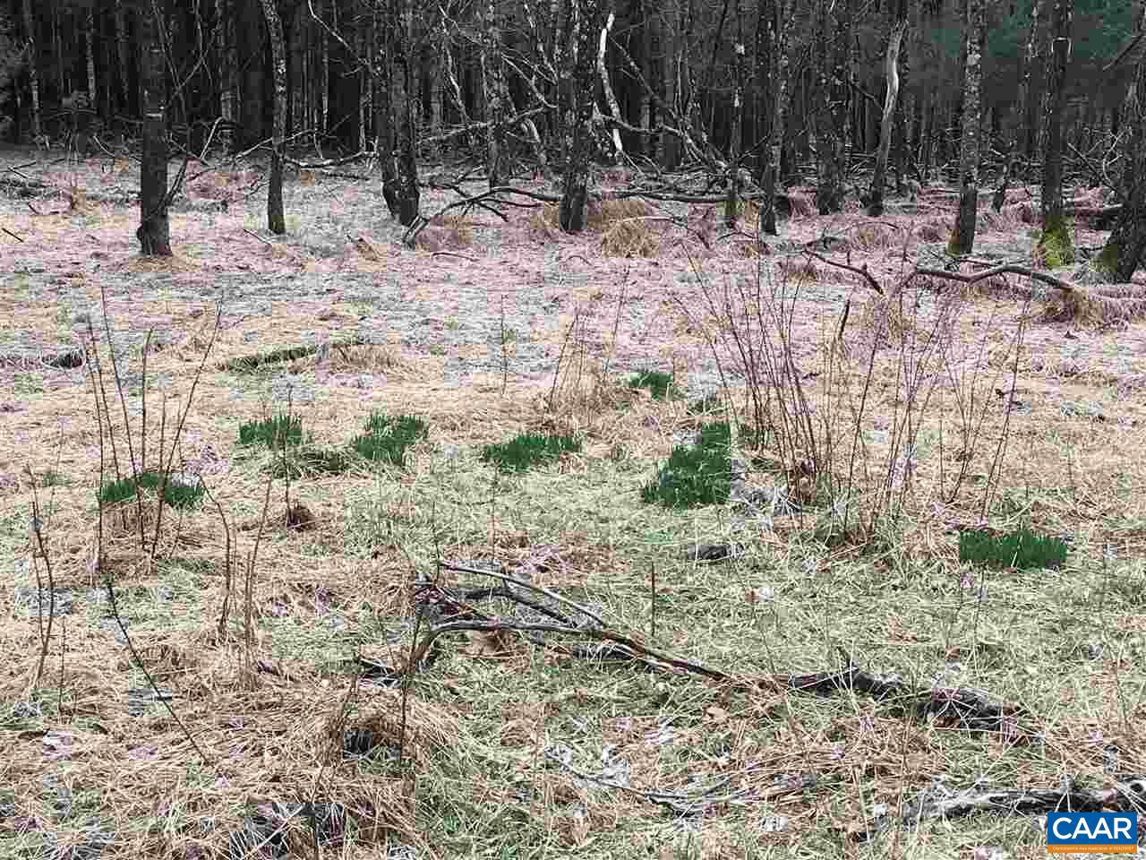 503 GARDEN LN LN, PALMYRA, Virginia 22963, ,Land,For Sale,503 GARDEN LN LN,613793 MLS # 613793 503 GARDEN LN LN, PALMYRA, Virginia 22963, ,Land,For Sale,503 GARDEN LN LN,613793 MLS # 613793