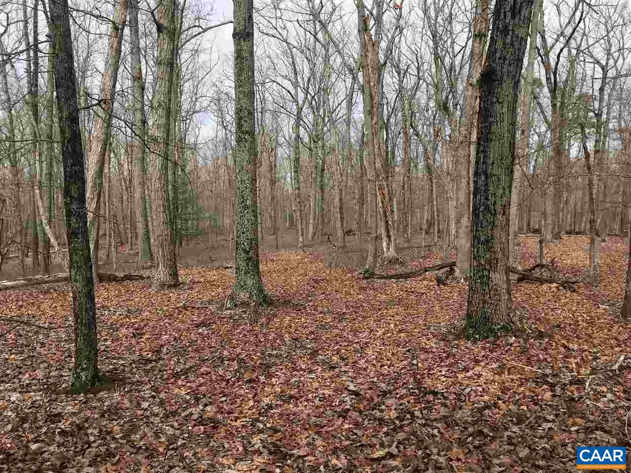 503 GARDEN LN LN, PALMYRA, Virginia 22963, ,Land,For Sale,503 GARDEN LN LN,613793 MLS # 613793 503 GARDEN LN LN, PALMYRA, Virginia 22963, ,Land,For Sale,503 GARDEN LN LN,613793 MLS # 613793