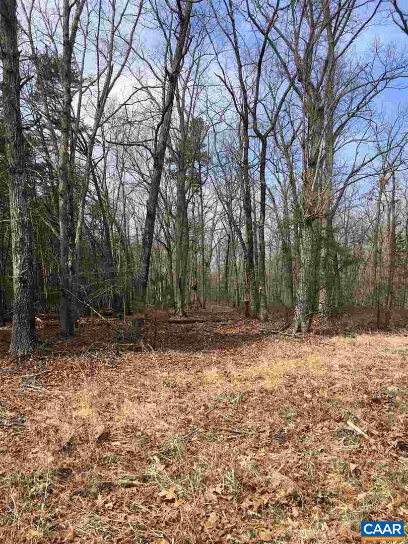 503 GARDEN LN LN, PALMYRA, Virginia 22963, ,Land,For Sale,503 GARDEN LN LN,613793 MLS # 613793 503 GARDEN LN LN, PALMYRA, Virginia 22963, ,Land,For Sale,503 GARDEN LN LN,613793 MLS # 613793