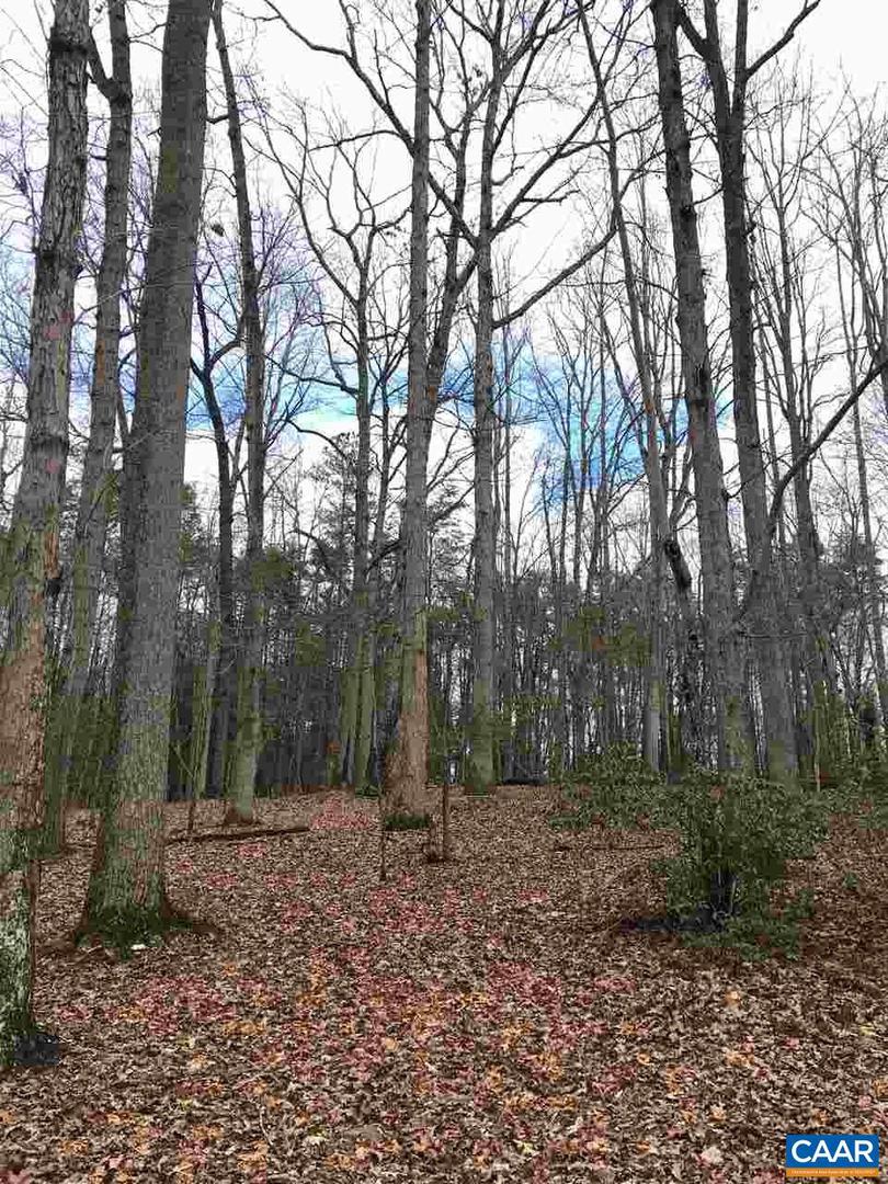 503 GARDEN LN LN, PALMYRA, Virginia 22963, ,Land,For Sale,503 GARDEN LN LN,613793 MLS # 613793 503 GARDEN LN LN, PALMYRA, Virginia 22963, ,Land,For Sale,503 GARDEN LN LN,613793 MLS # 613793