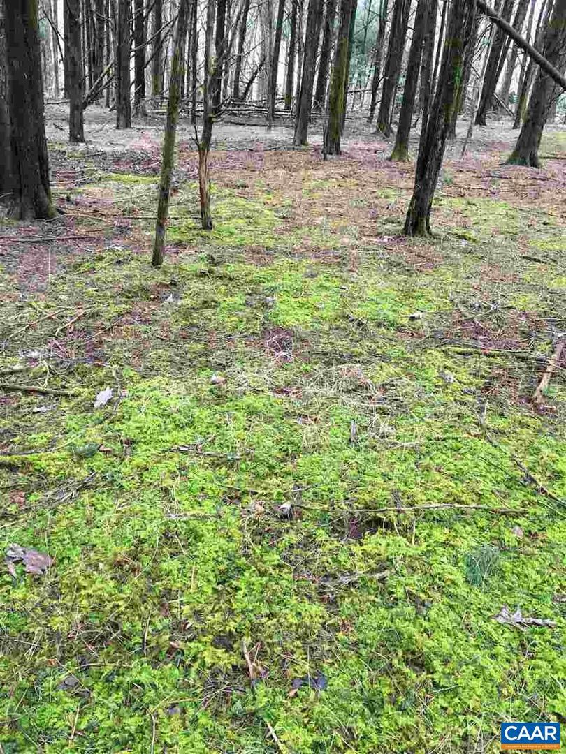 503 GARDEN LN LN, PALMYRA, Virginia 22963, ,Land,For Sale,503 GARDEN LN LN,613793 MLS # 613793 503 GARDEN LN LN, PALMYRA, Virginia 22963, ,Land,For Sale,503 GARDEN LN LN,613793 MLS # 613793