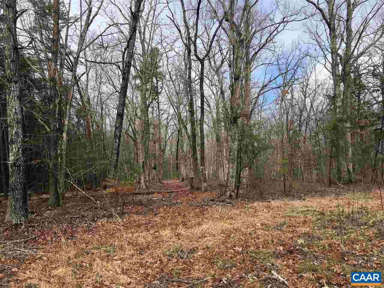 503 GARDEN LN LN, PALMYRA, Virginia 22963, ,Land,For Sale,503 GARDEN LN LN,613793 MLS # 613793 503 GARDEN LN LN, PALMYRA, Virginia 22963, ,Land,For Sale,503 GARDEN LN LN,613793 MLS # 613793