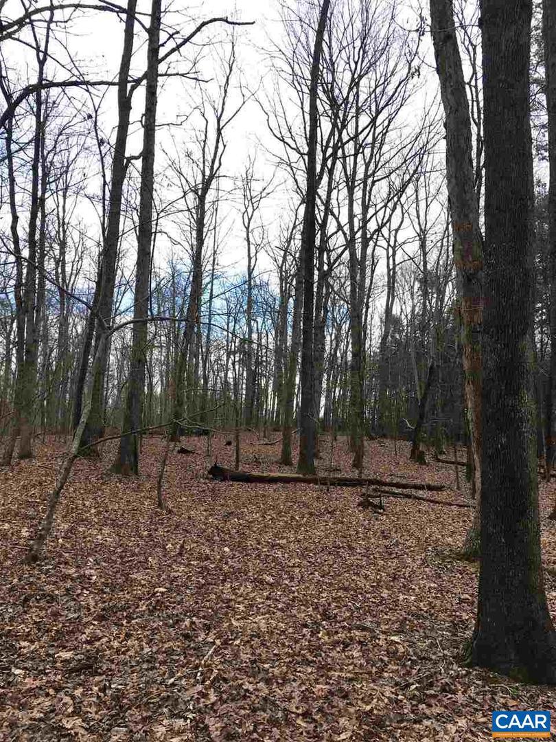 503 GARDEN LN LN, PALMYRA, Virginia 22963, ,Land,For Sale,503 GARDEN LN LN,613793 MLS # 613793 503 GARDEN LN LN, PALMYRA, Virginia 22963, ,Land,For Sale,503 GARDEN LN LN,613793 MLS # 613793