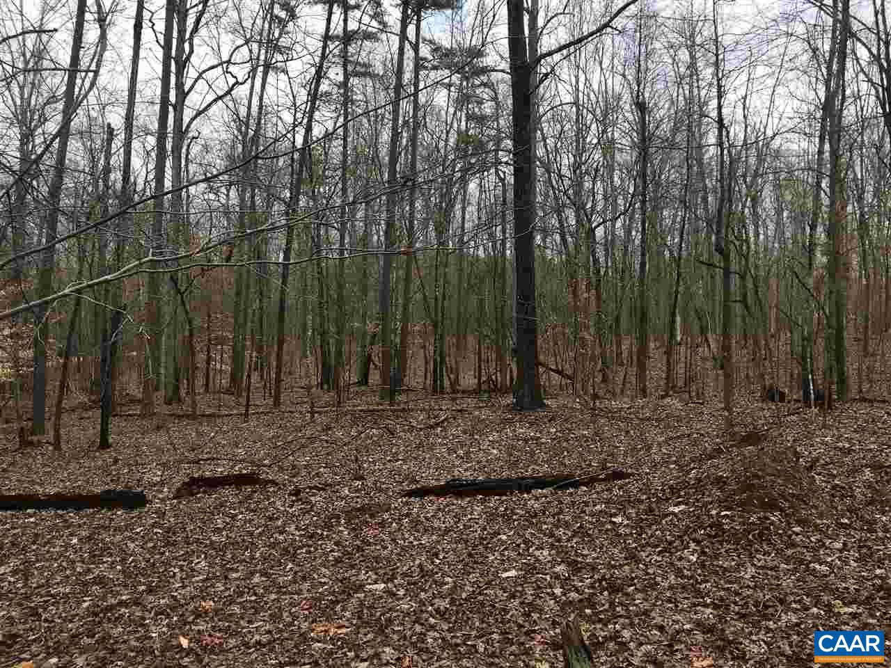 503 GARDEN LN LN, PALMYRA, Virginia 22963, ,Land,For Sale,503 GARDEN LN LN,613793 MLS # 613793 503 GARDEN LN LN, PALMYRA, Virginia 22963, ,Land,For Sale,503 GARDEN LN LN,613793 MLS # 613793